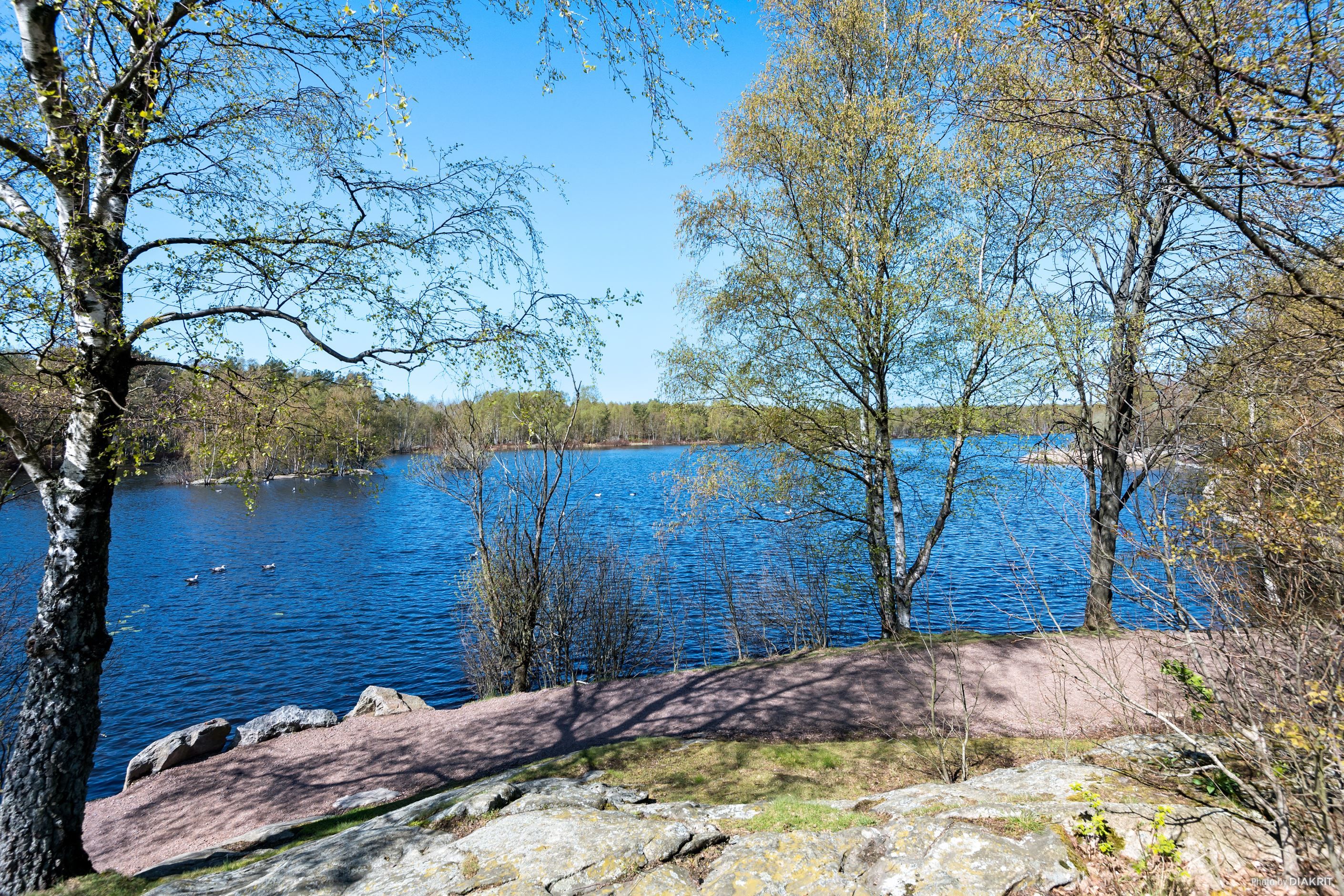 Närområde