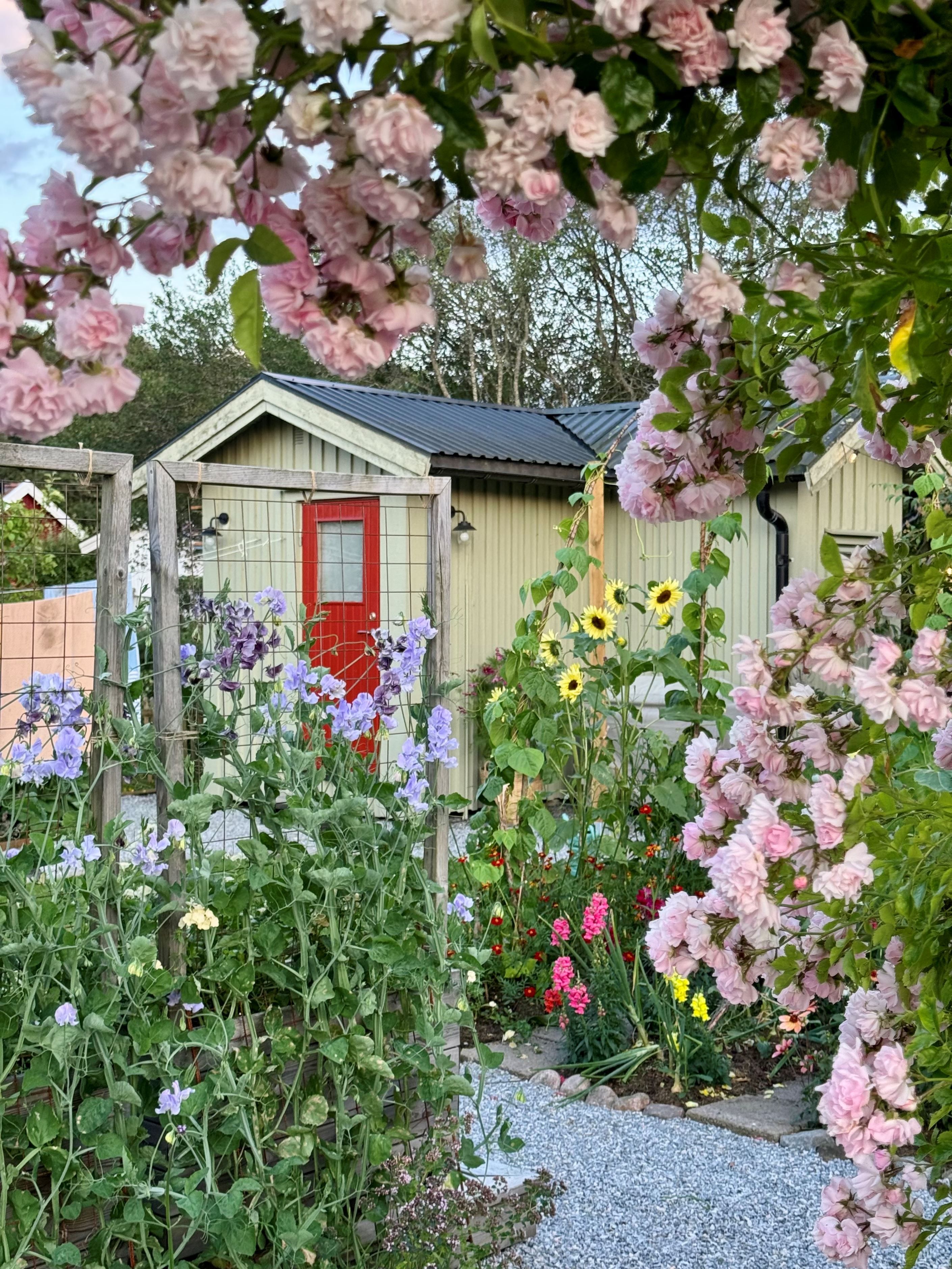 Säljarens bild