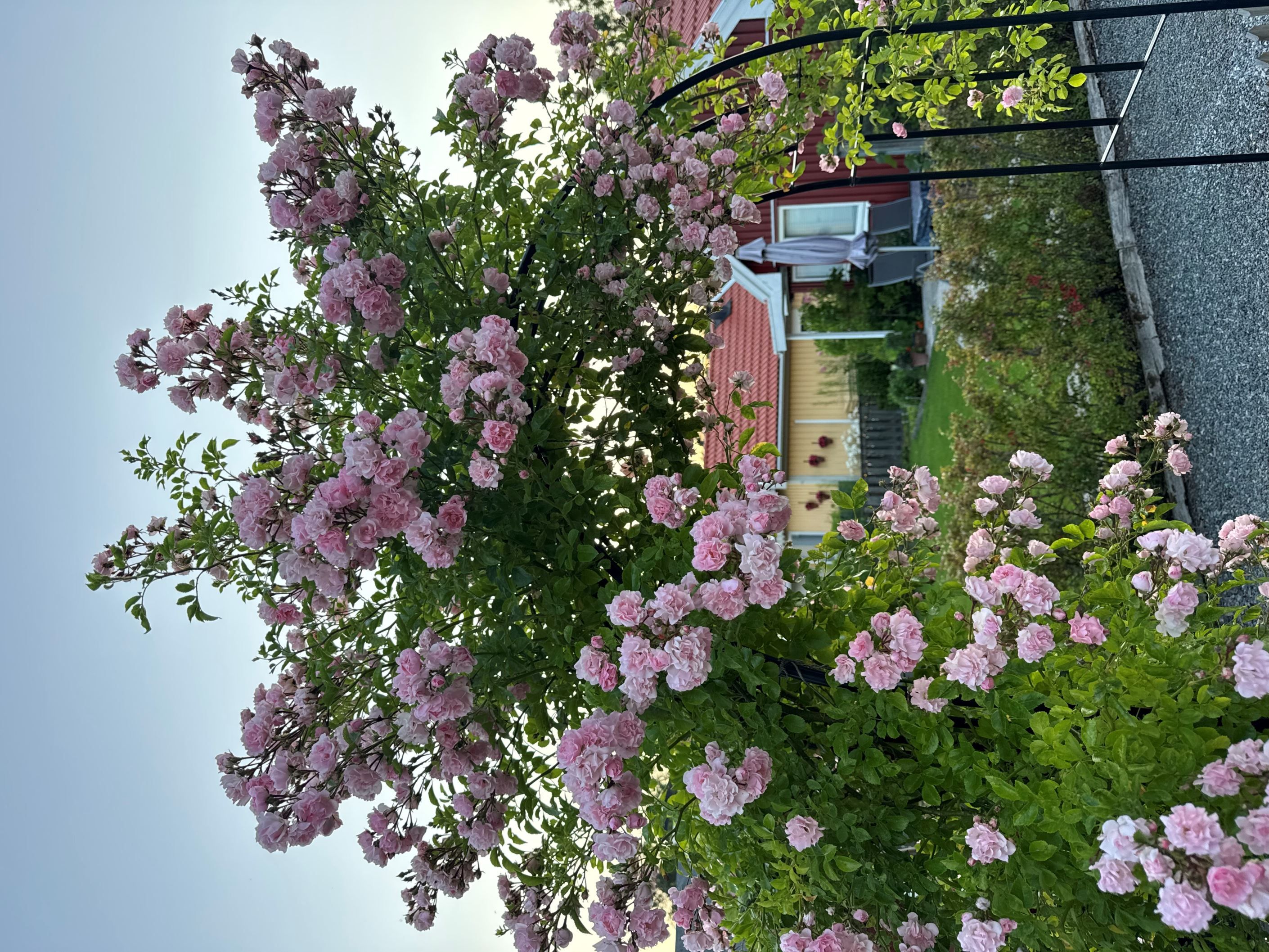 Säljarens bild