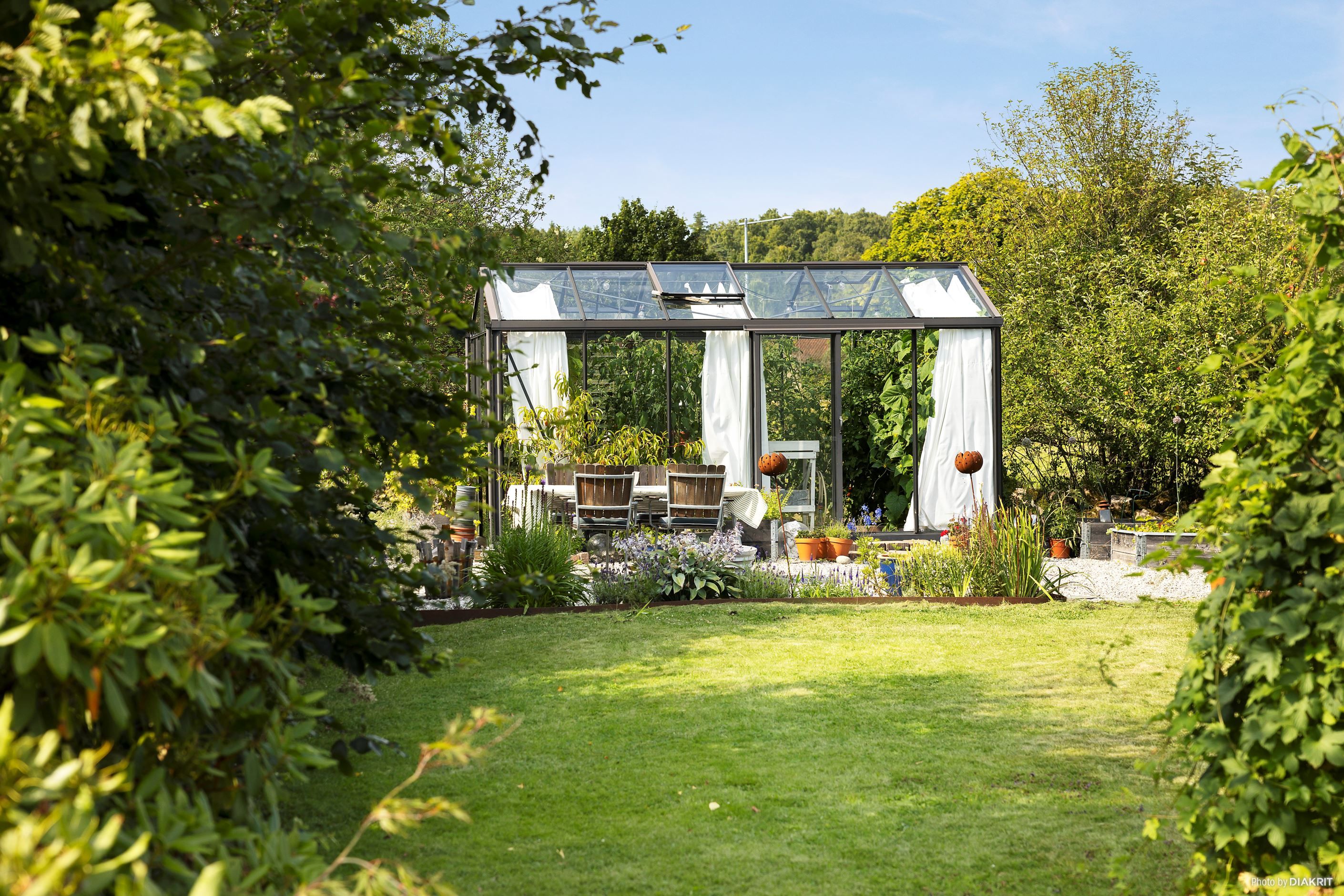 Trädgård