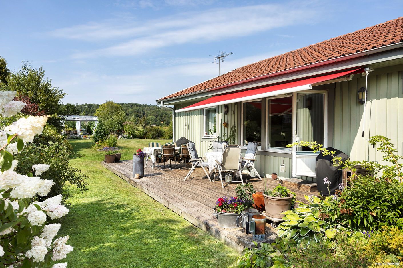 Trädgård
