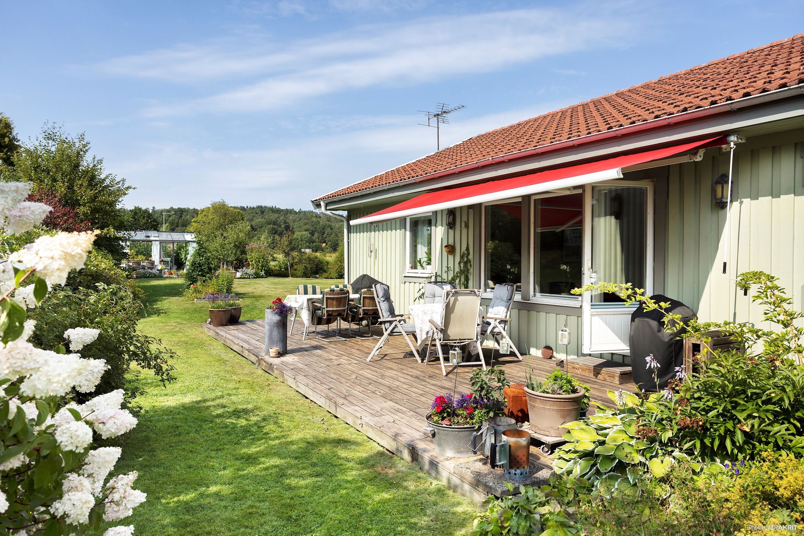 Trädgård