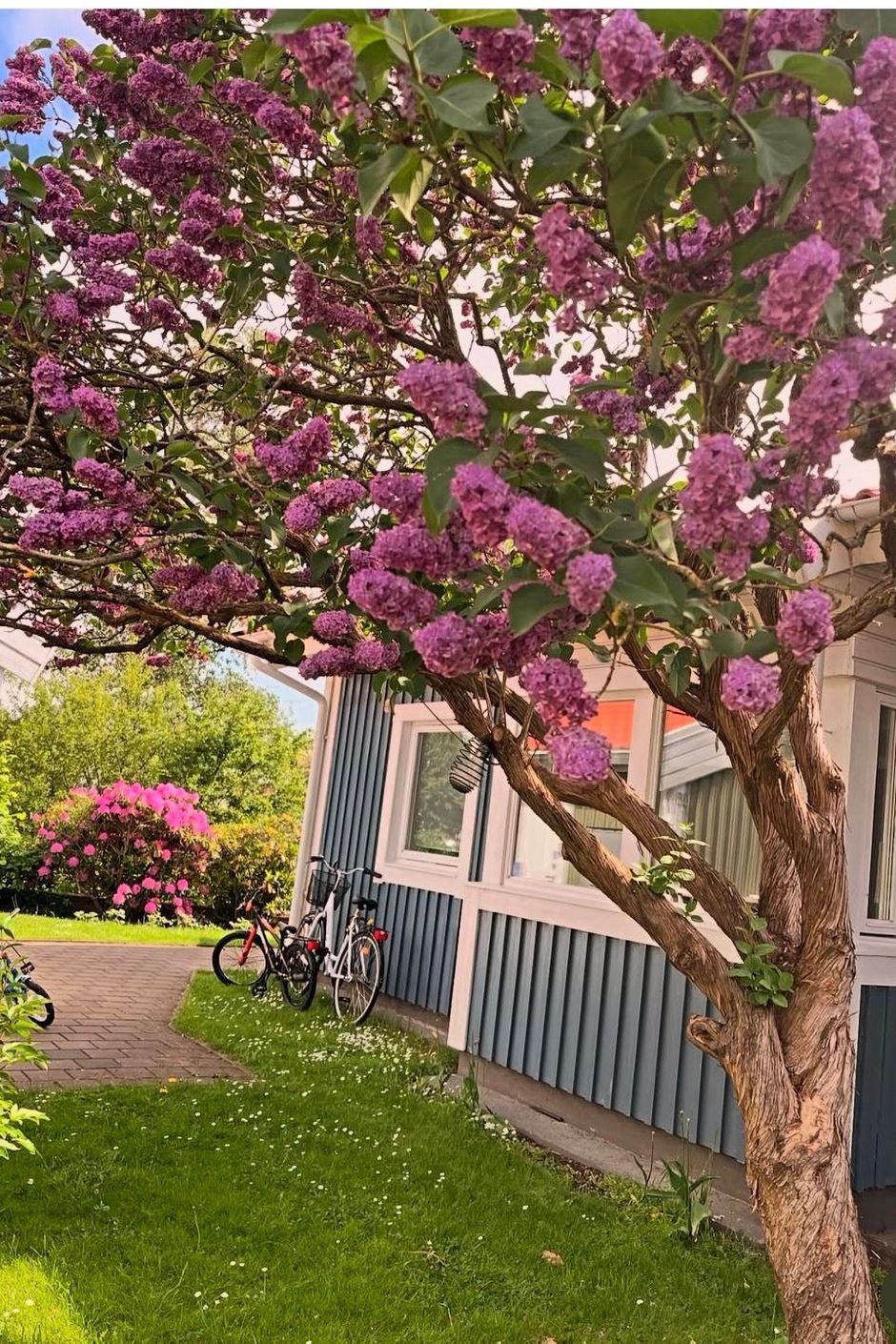 Säljarens egna bild