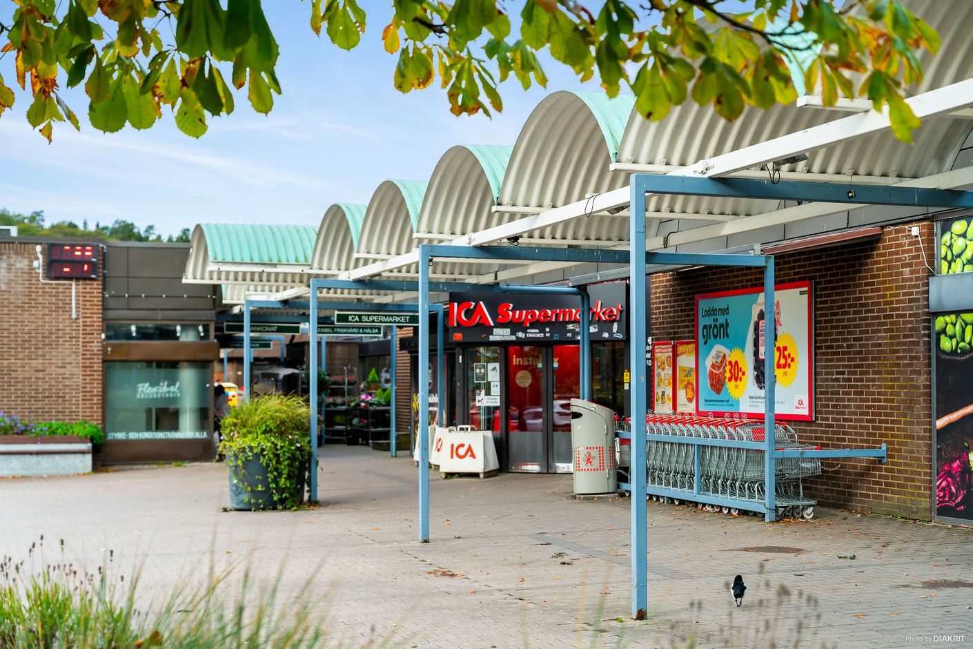 Närområde