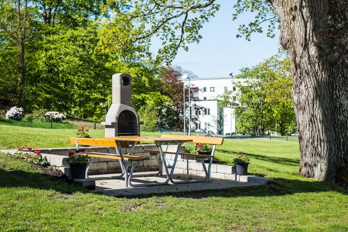 Gemensam grillplats på sommaren