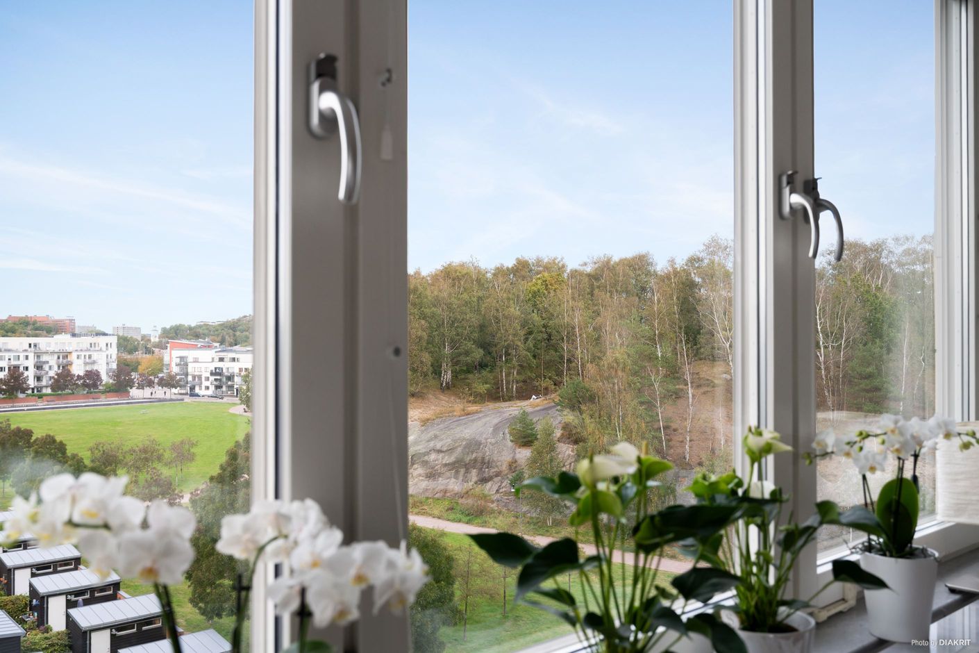 Fri utsikt över Sörhallsparken