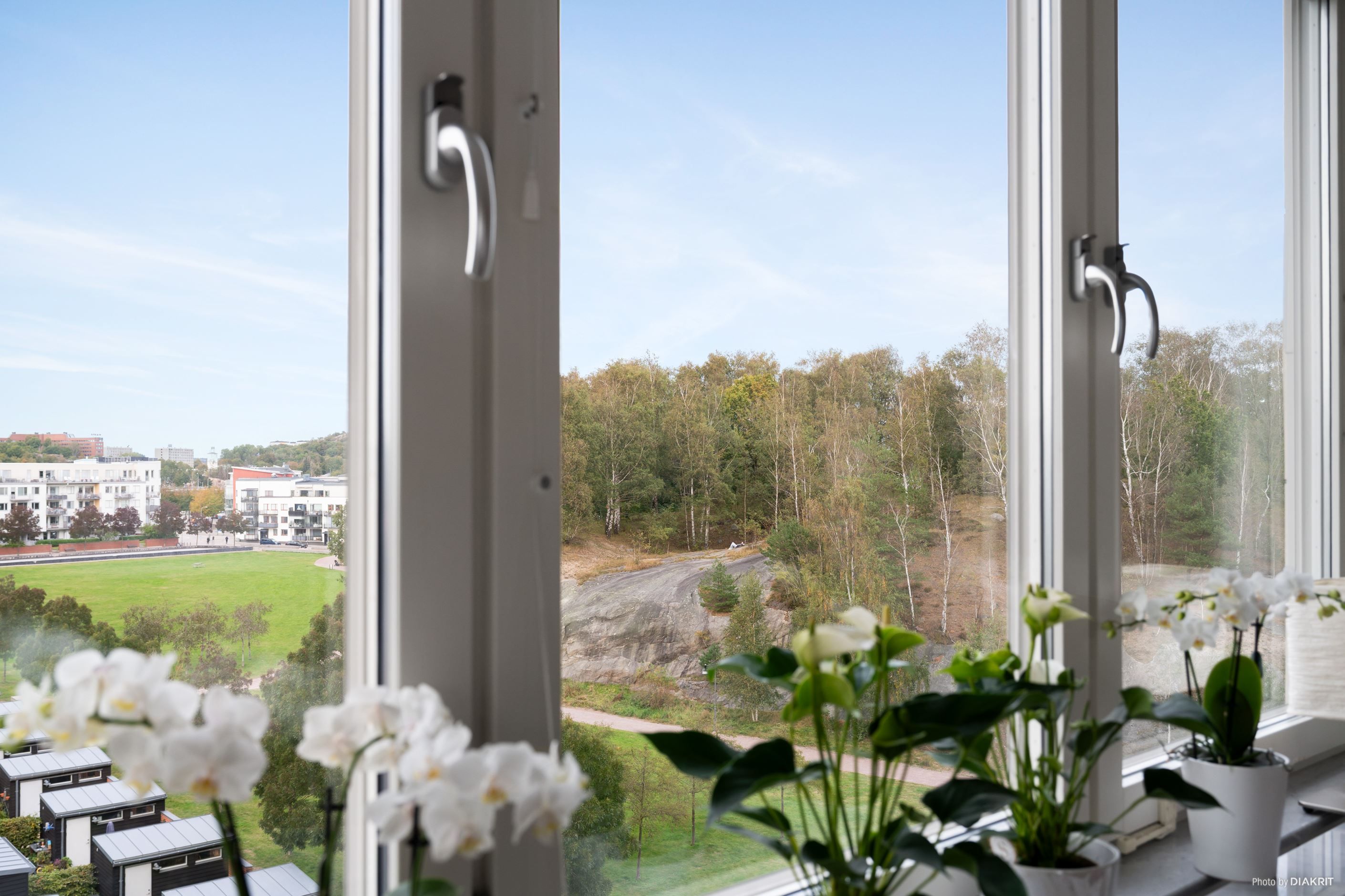 Fri utsikt över Sörhallsparken