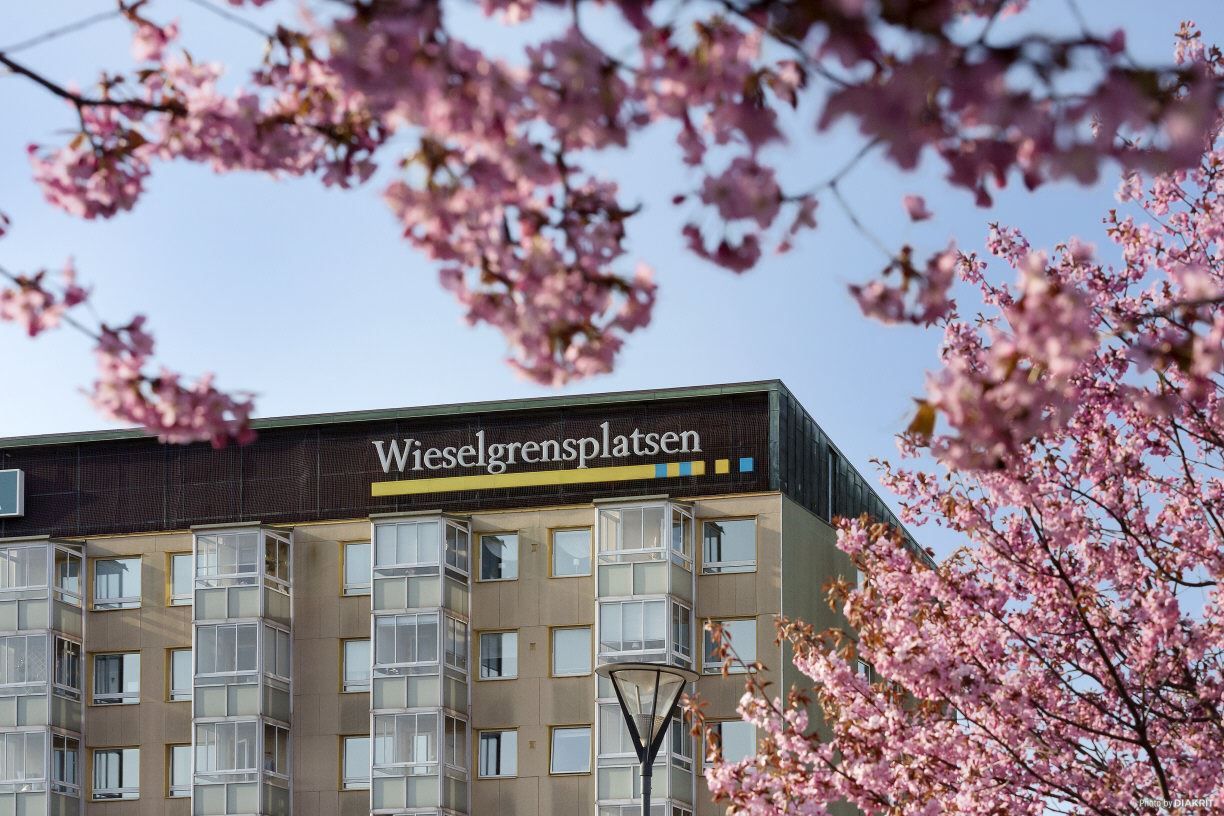 Wieselgrensplatsen