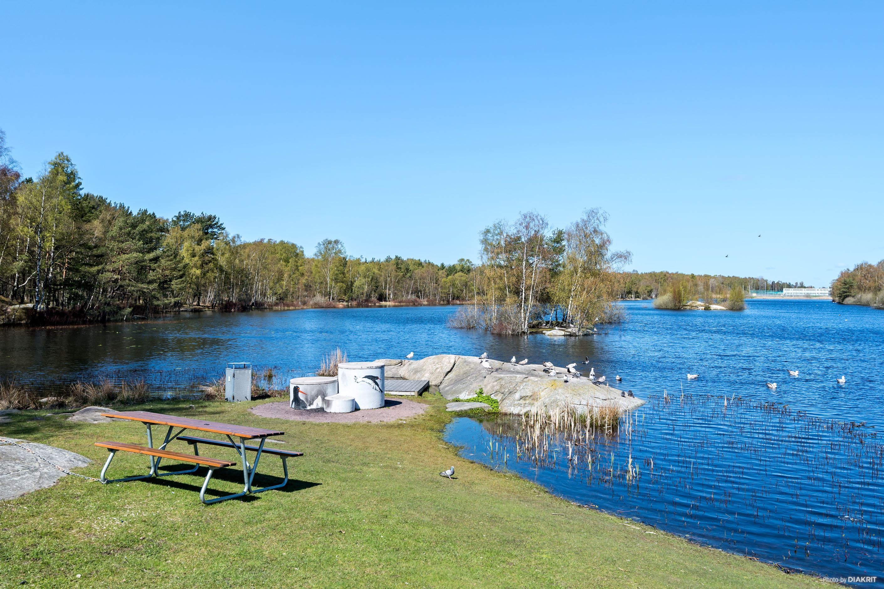 Omgivningen