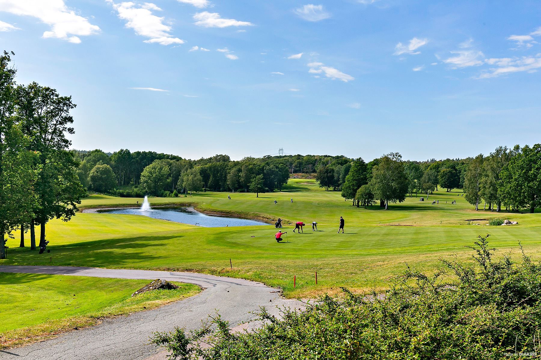 Albatross golfbana för den golfintresserade
