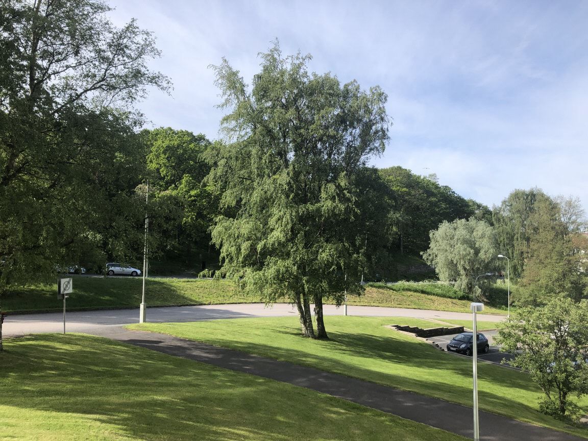 Grönskande omgivningar
