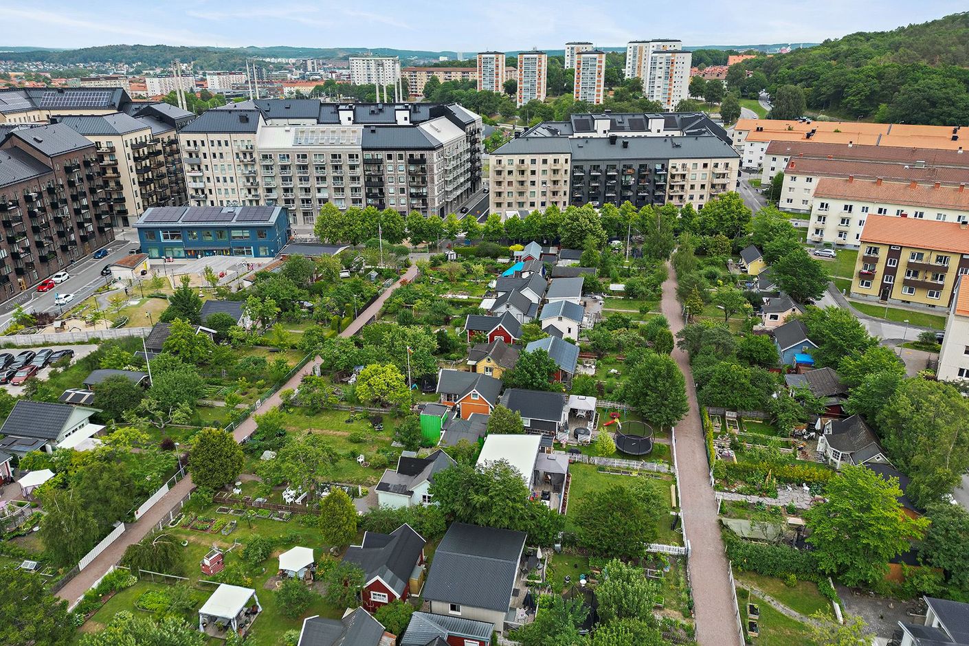 Kolonistugorna