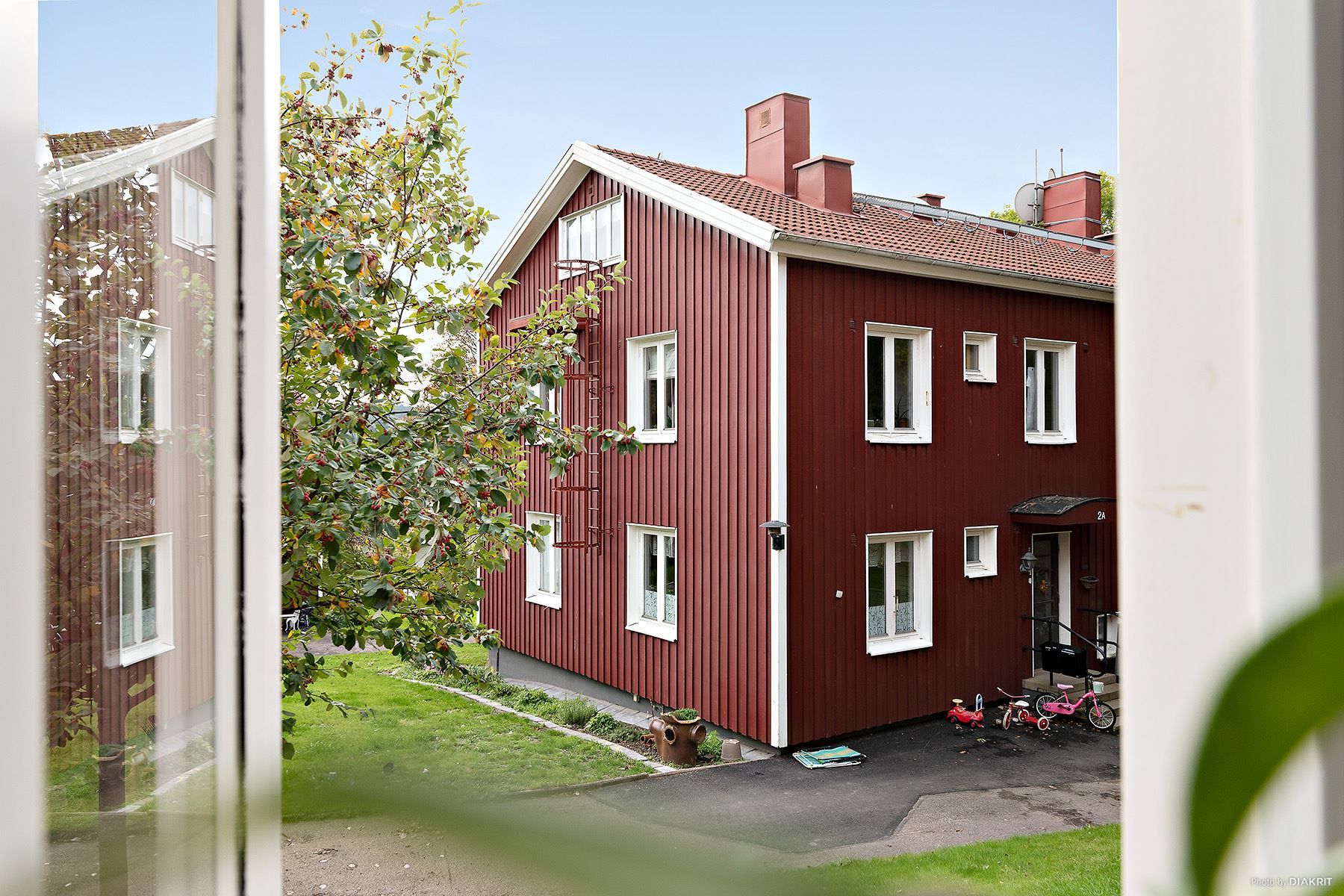 Grönskande vy från fönstret