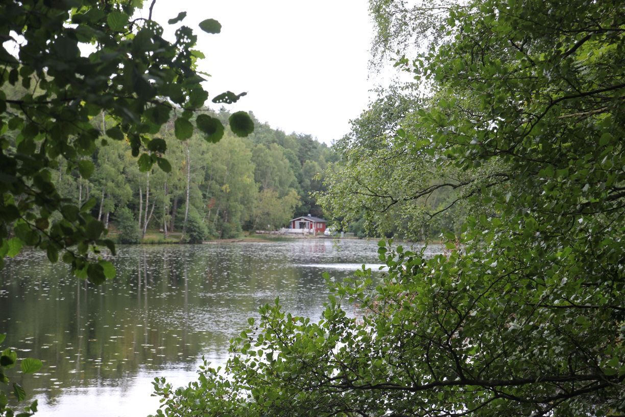 Slättadam