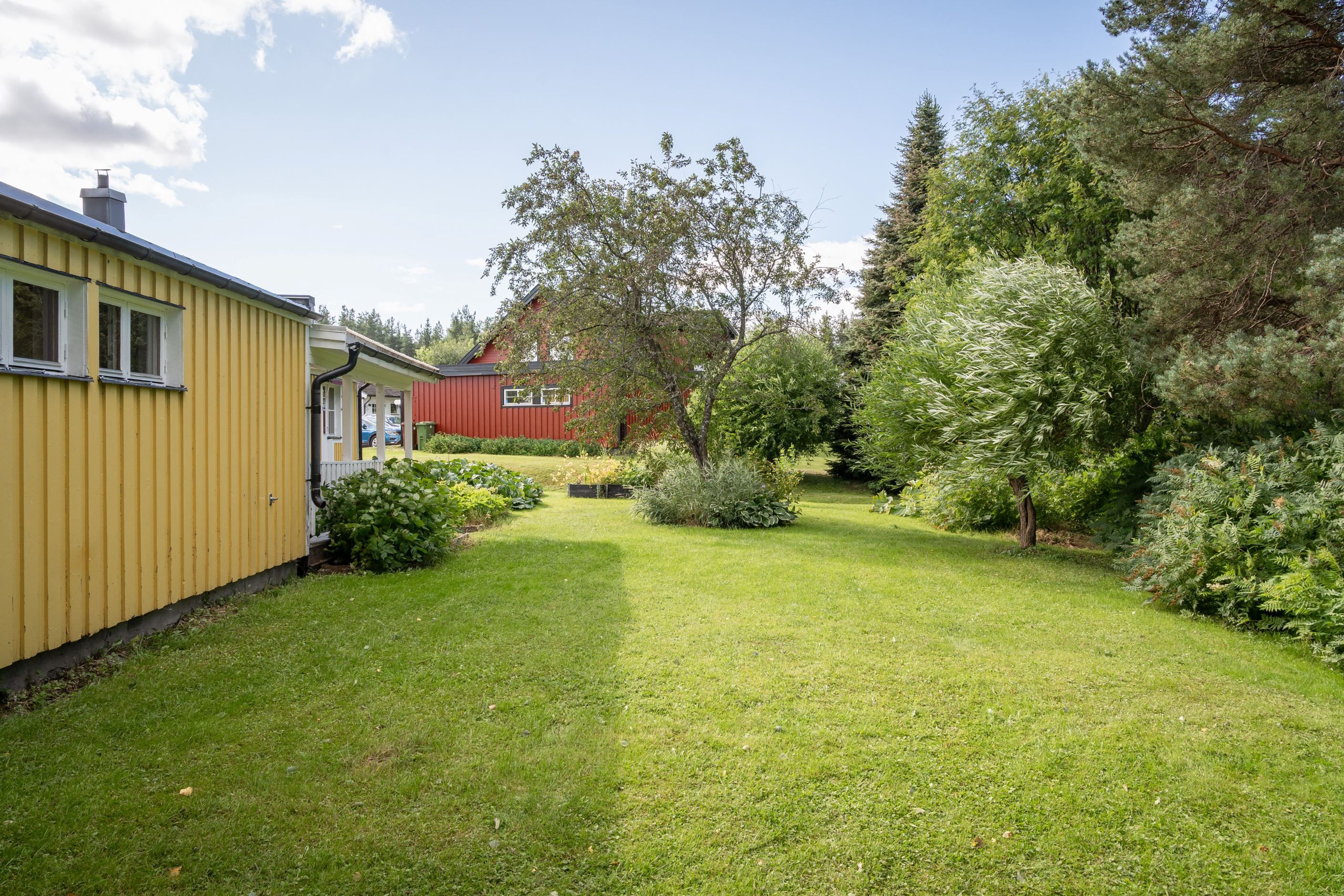 Exteriör