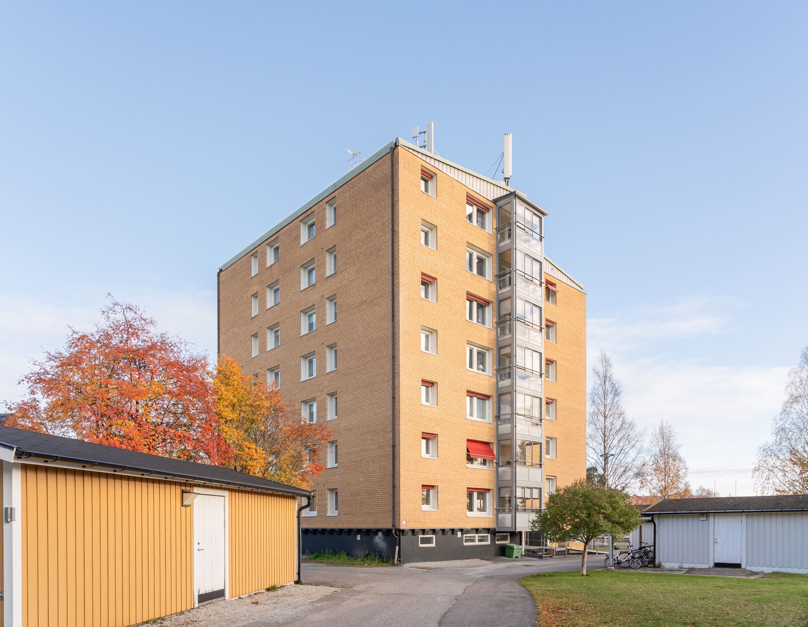 Exteriör