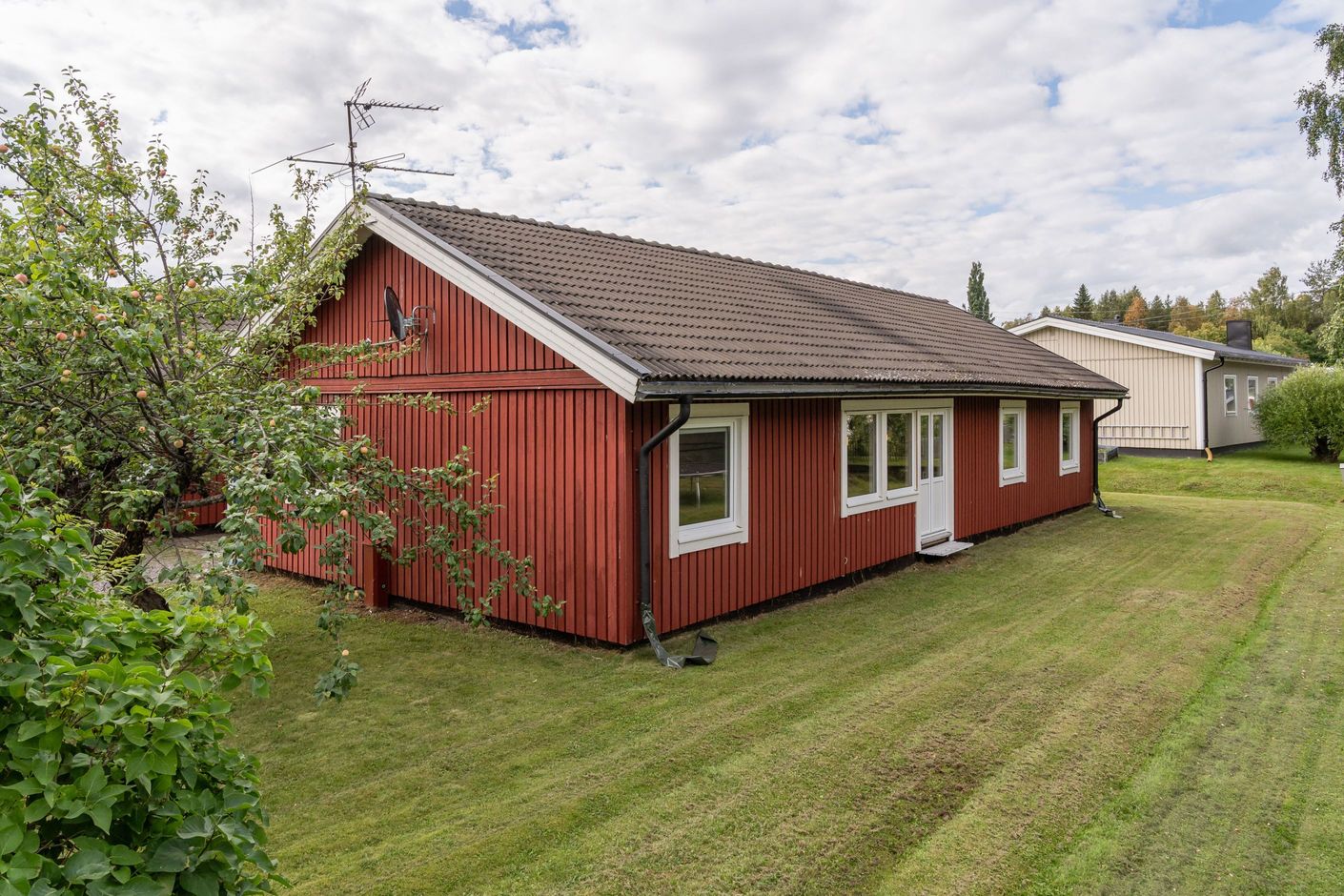 Exteriör