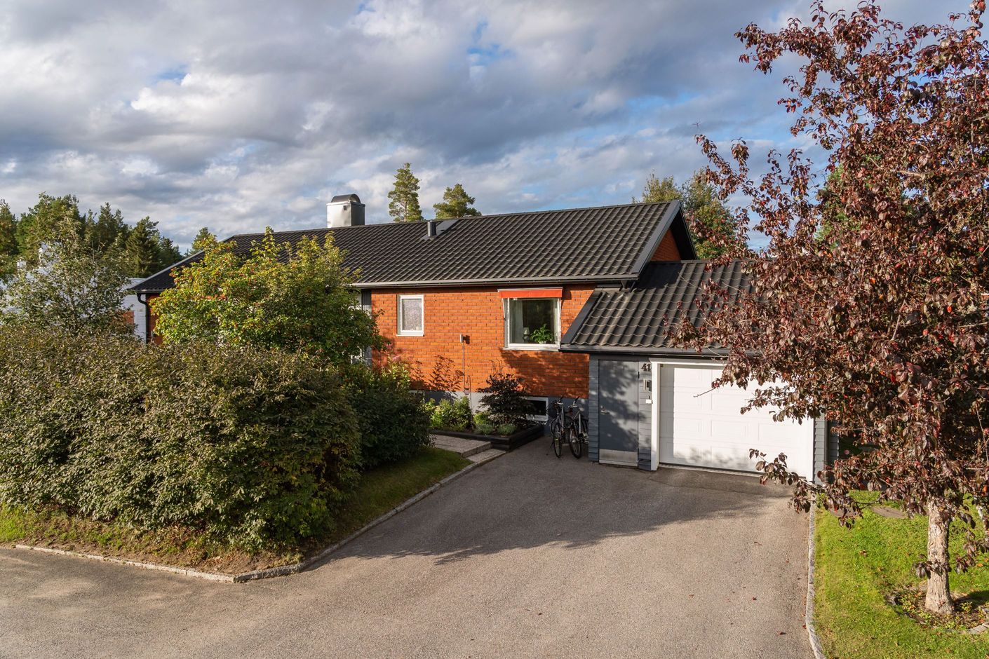 Exteriör
