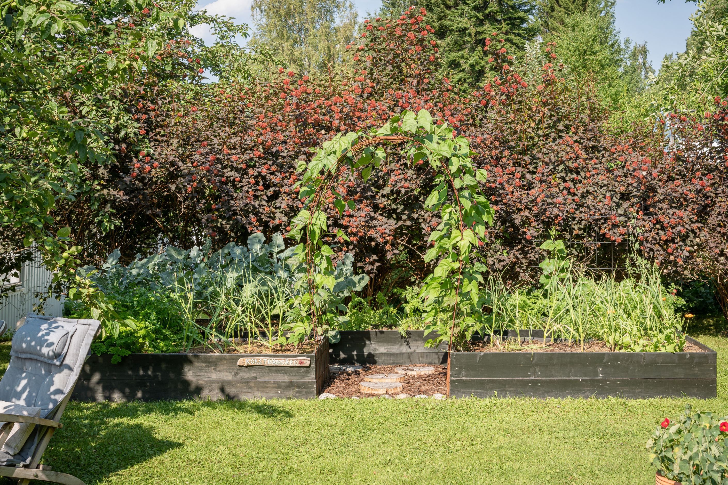 Köksträdgård