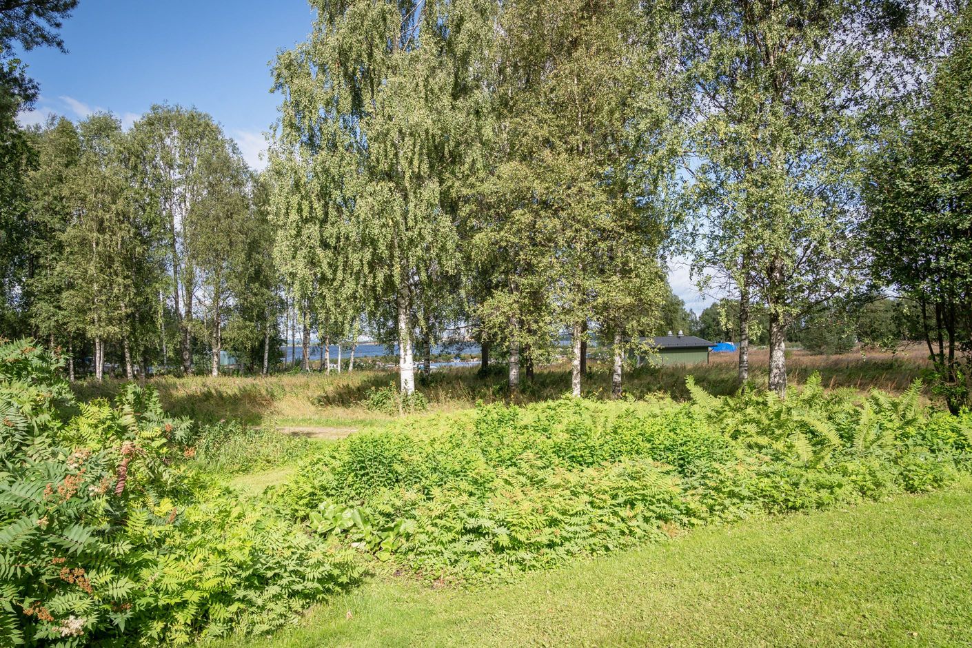 Utsikt