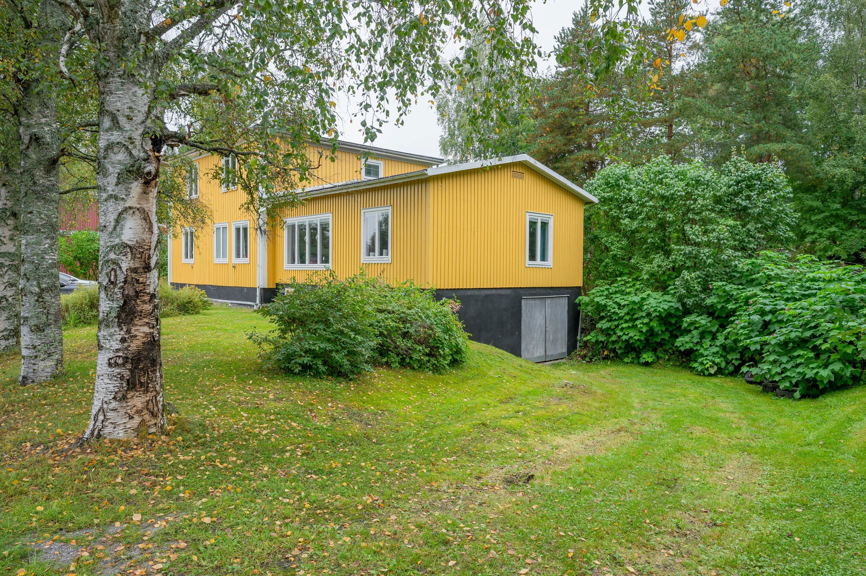Exteriör