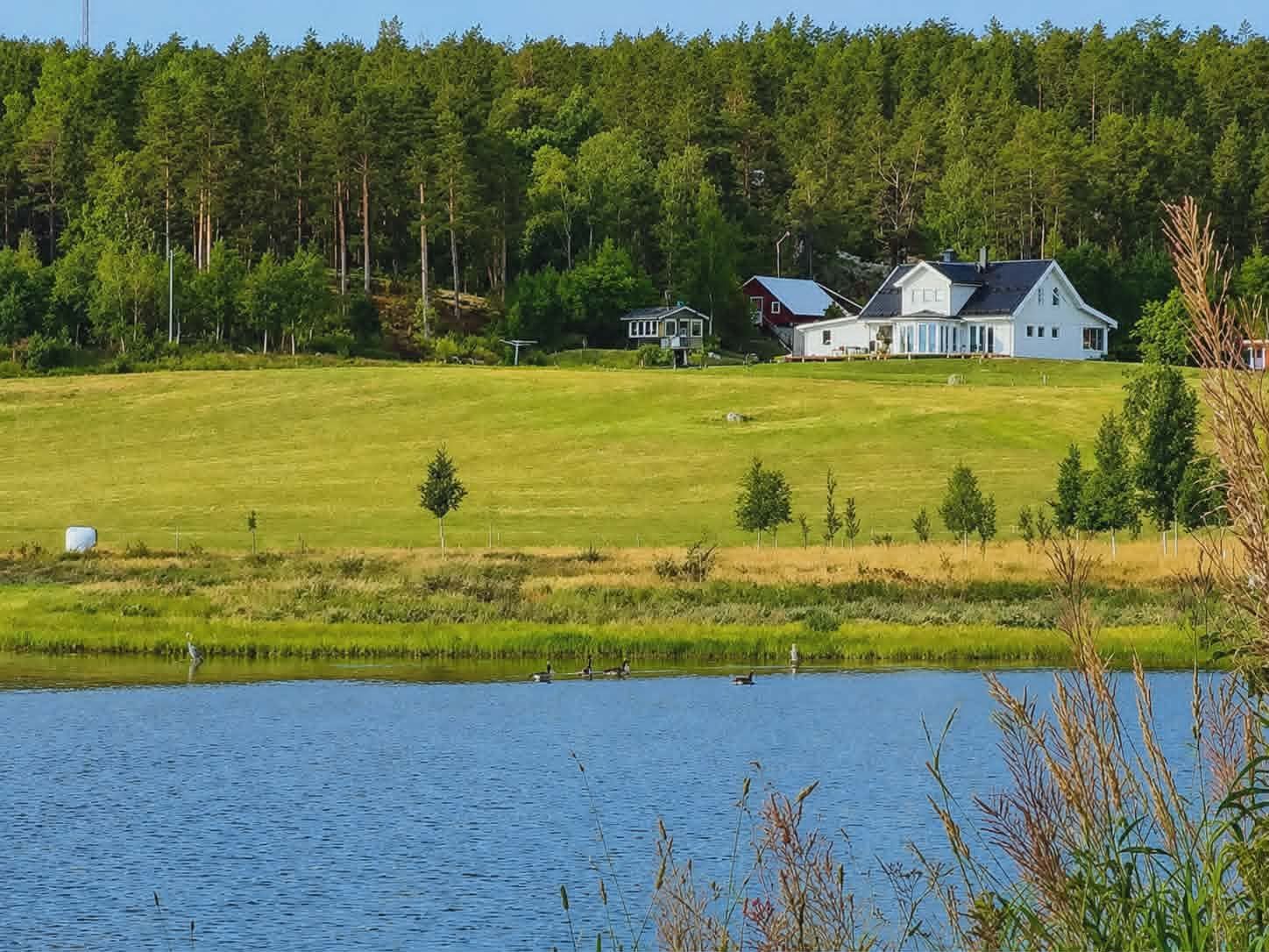 Säljarens bild