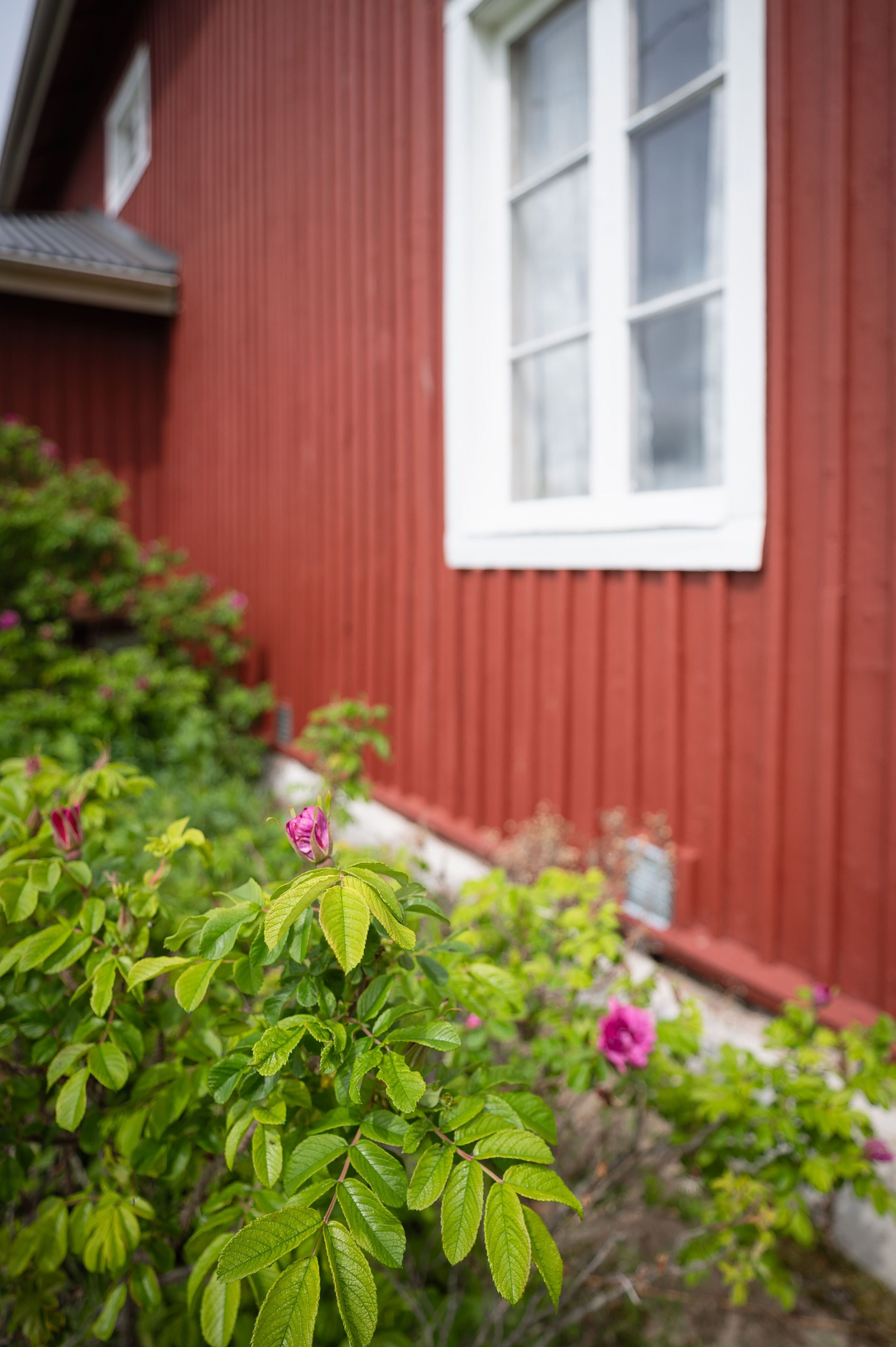 Exteriör