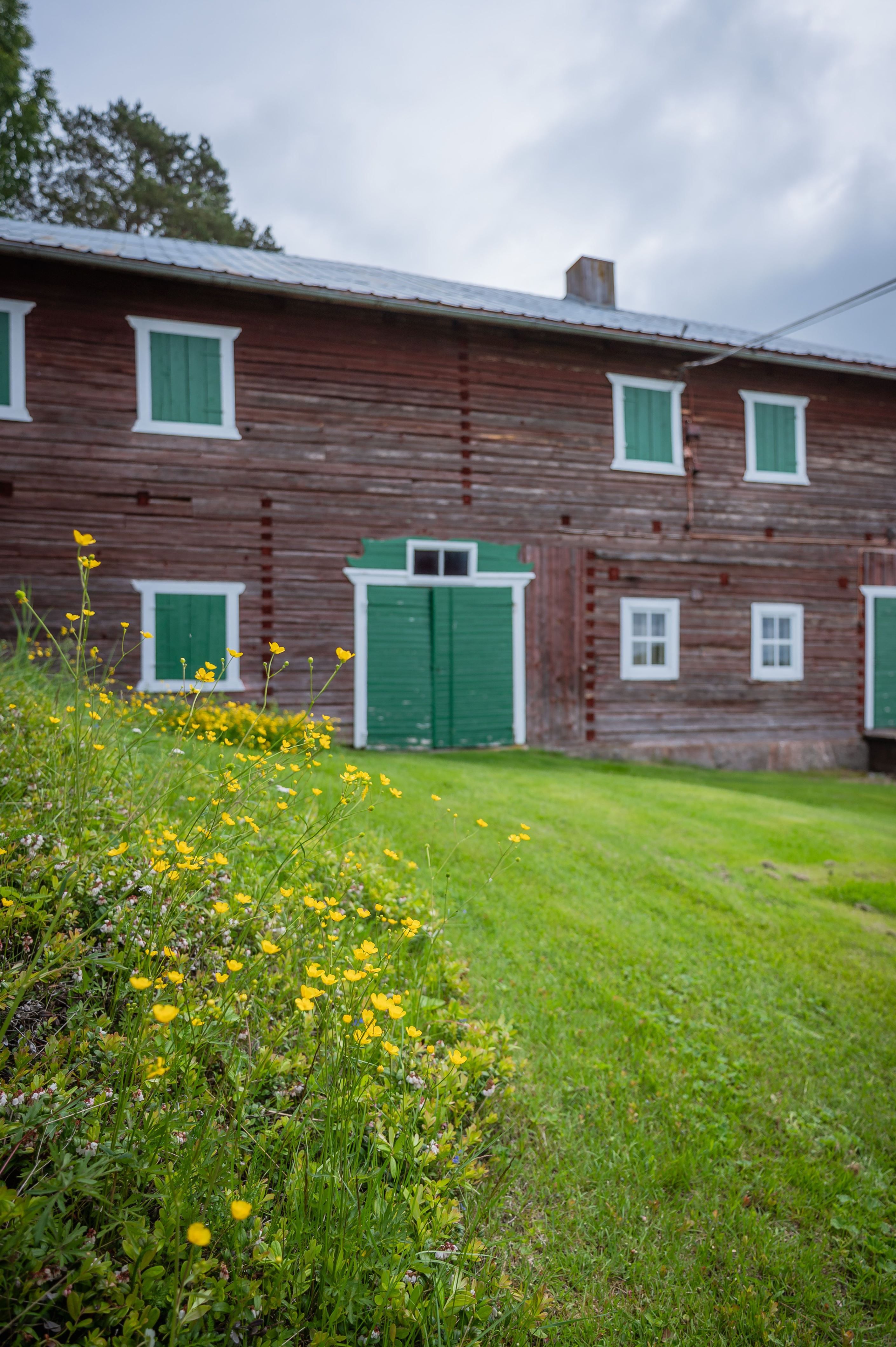Exteriör