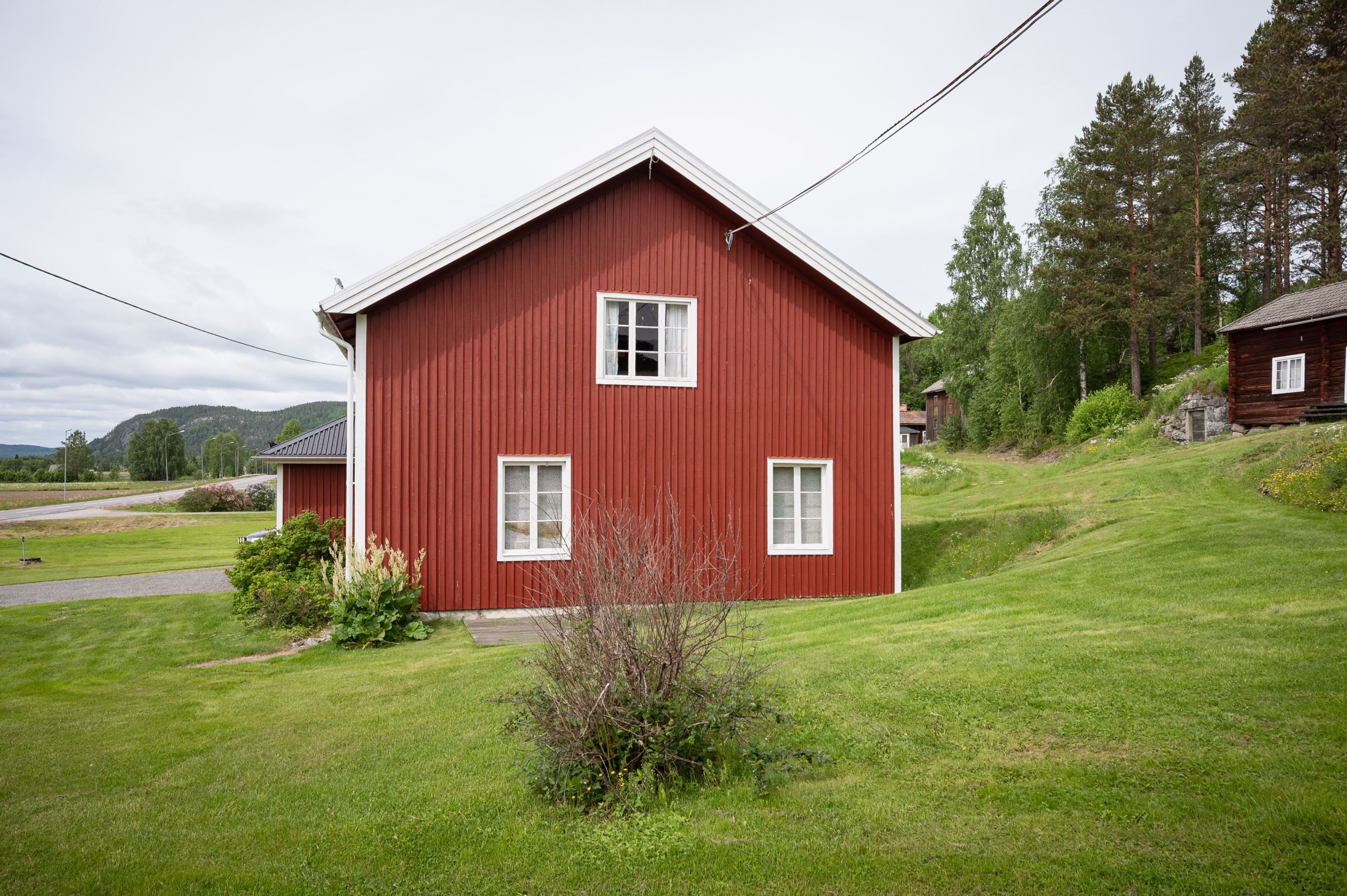 Exteriör
