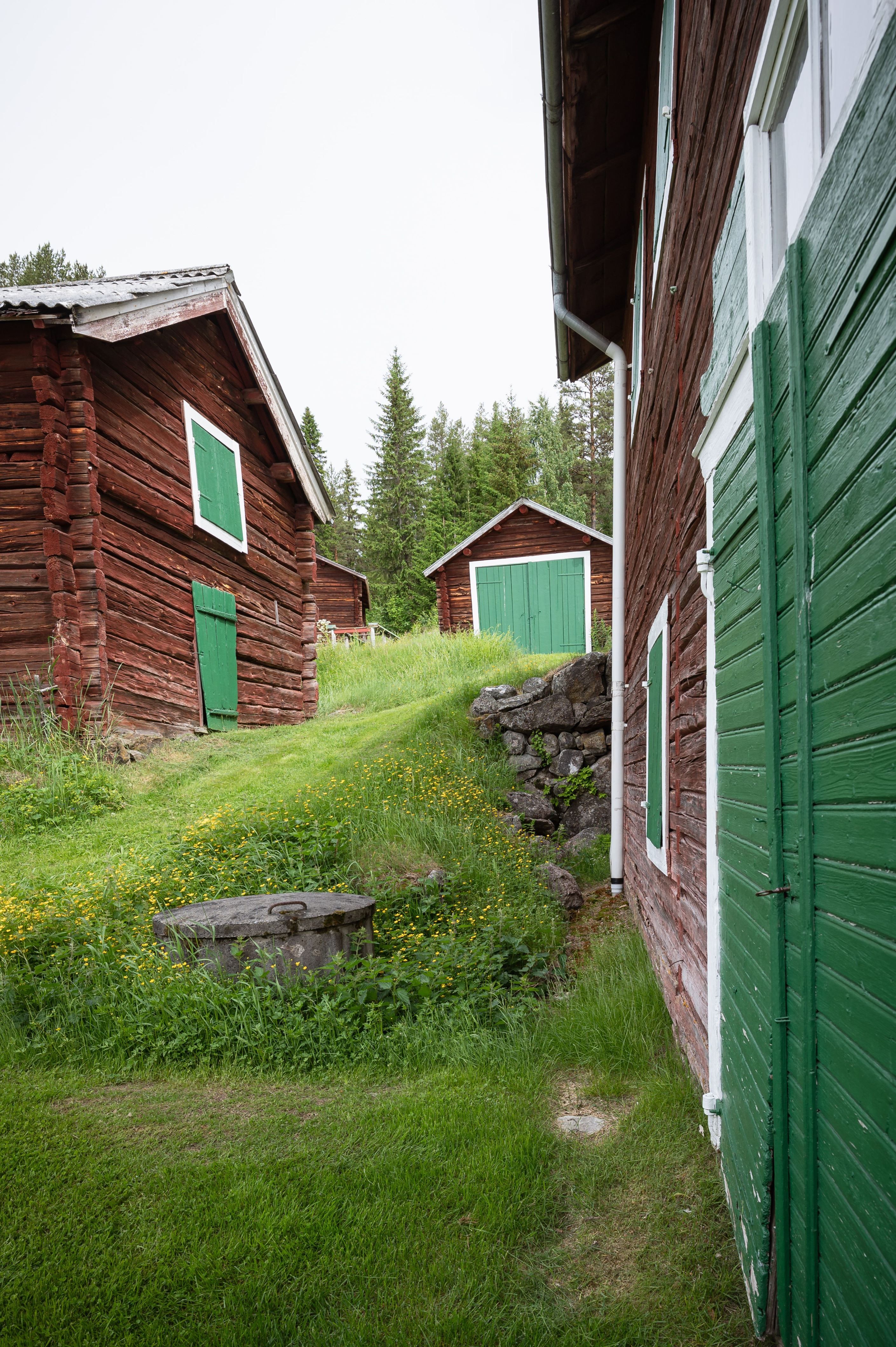 Exteriör