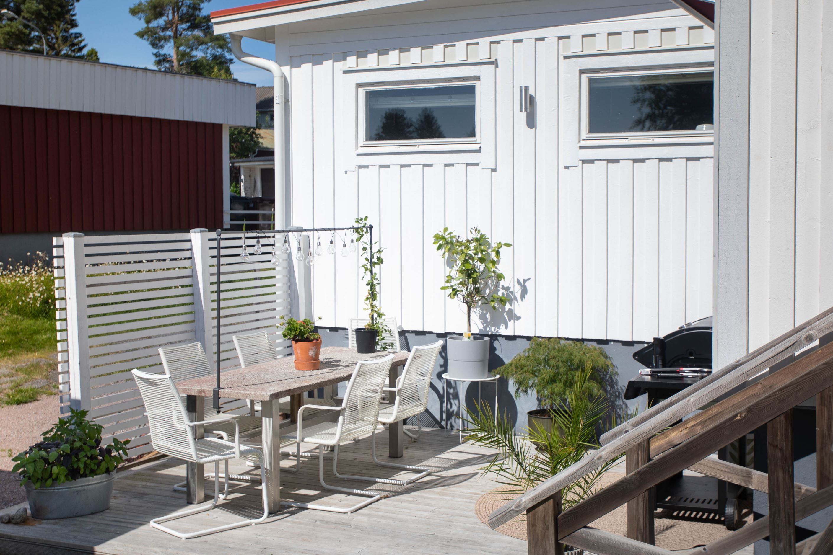 Trädgård