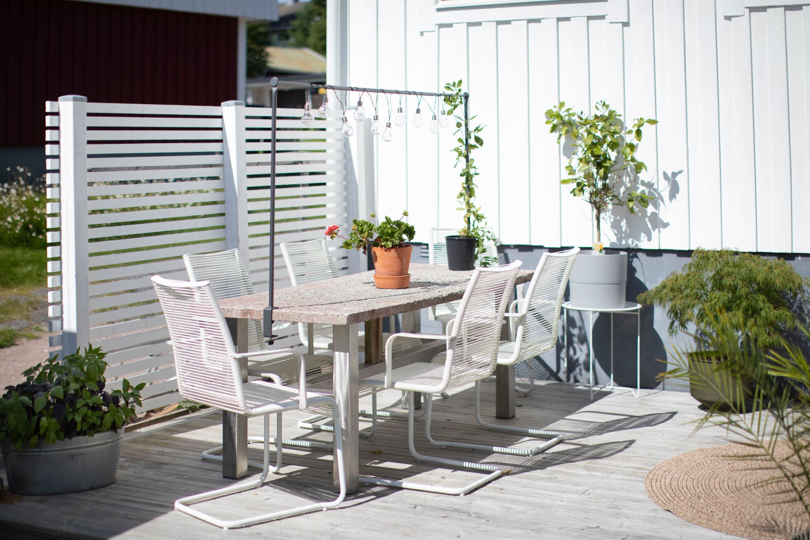 Trädgård