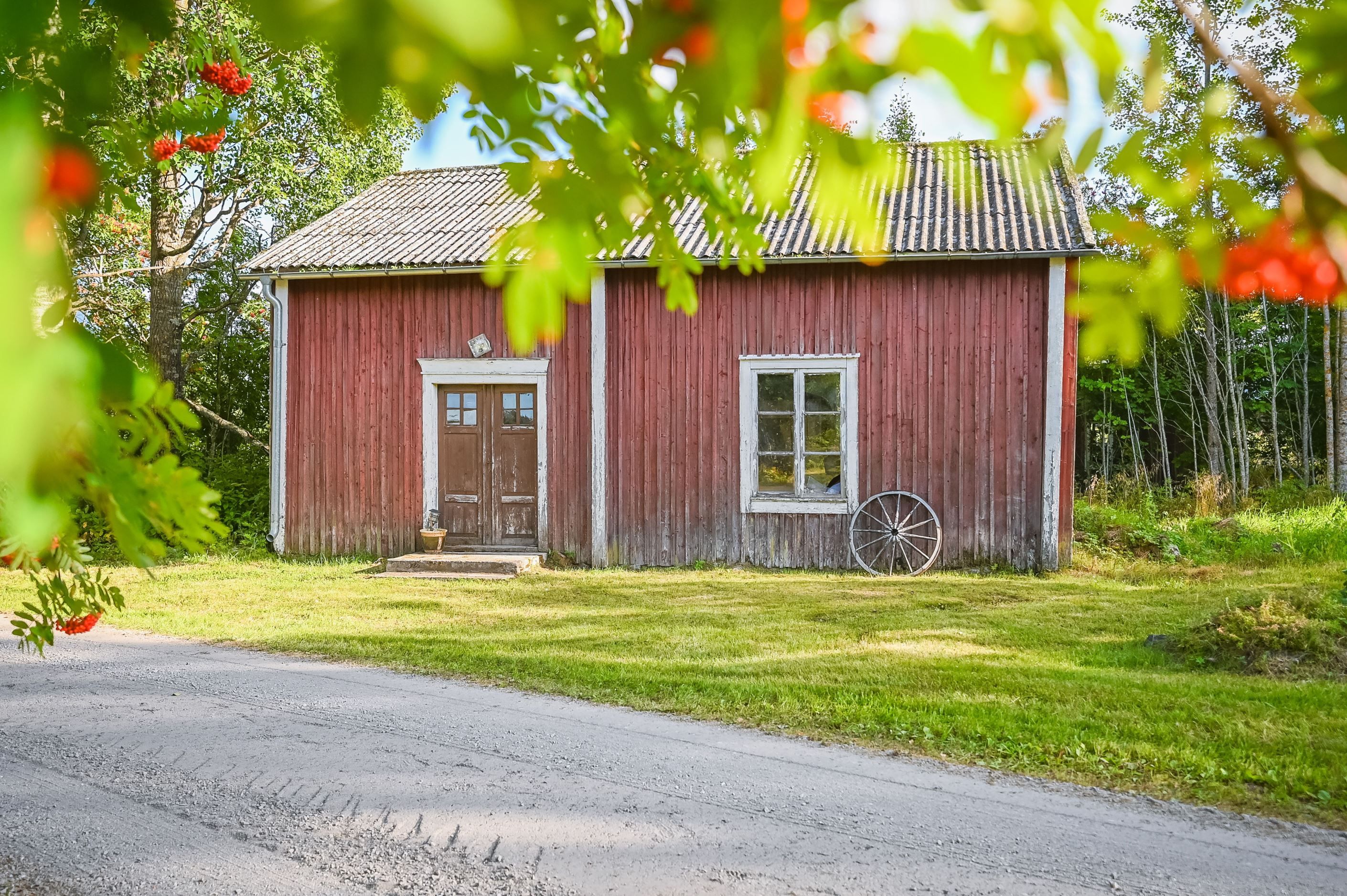 Exteriör