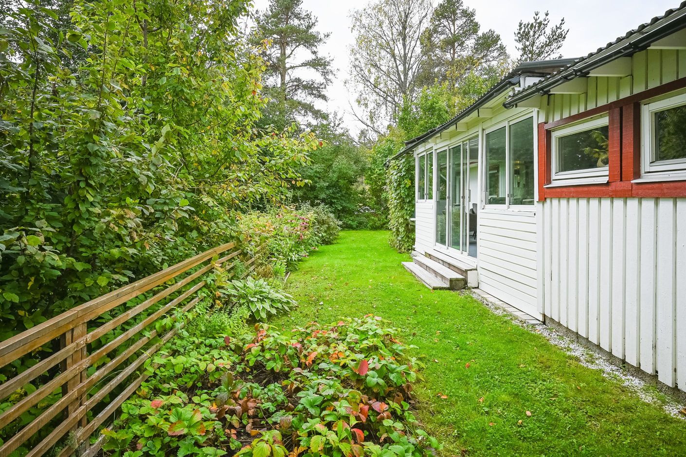 Trädgård