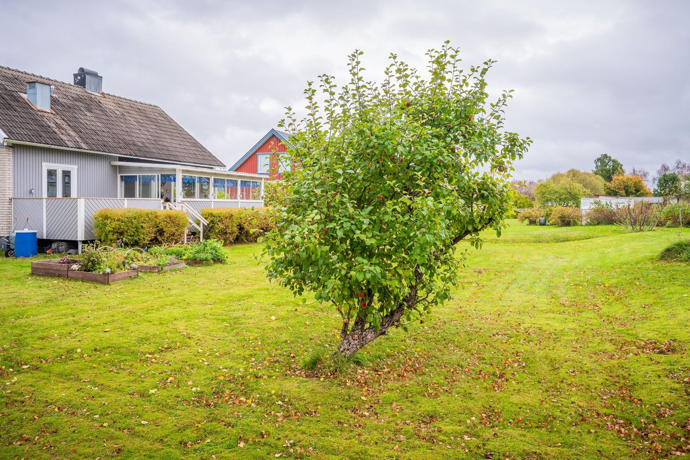Exteriör