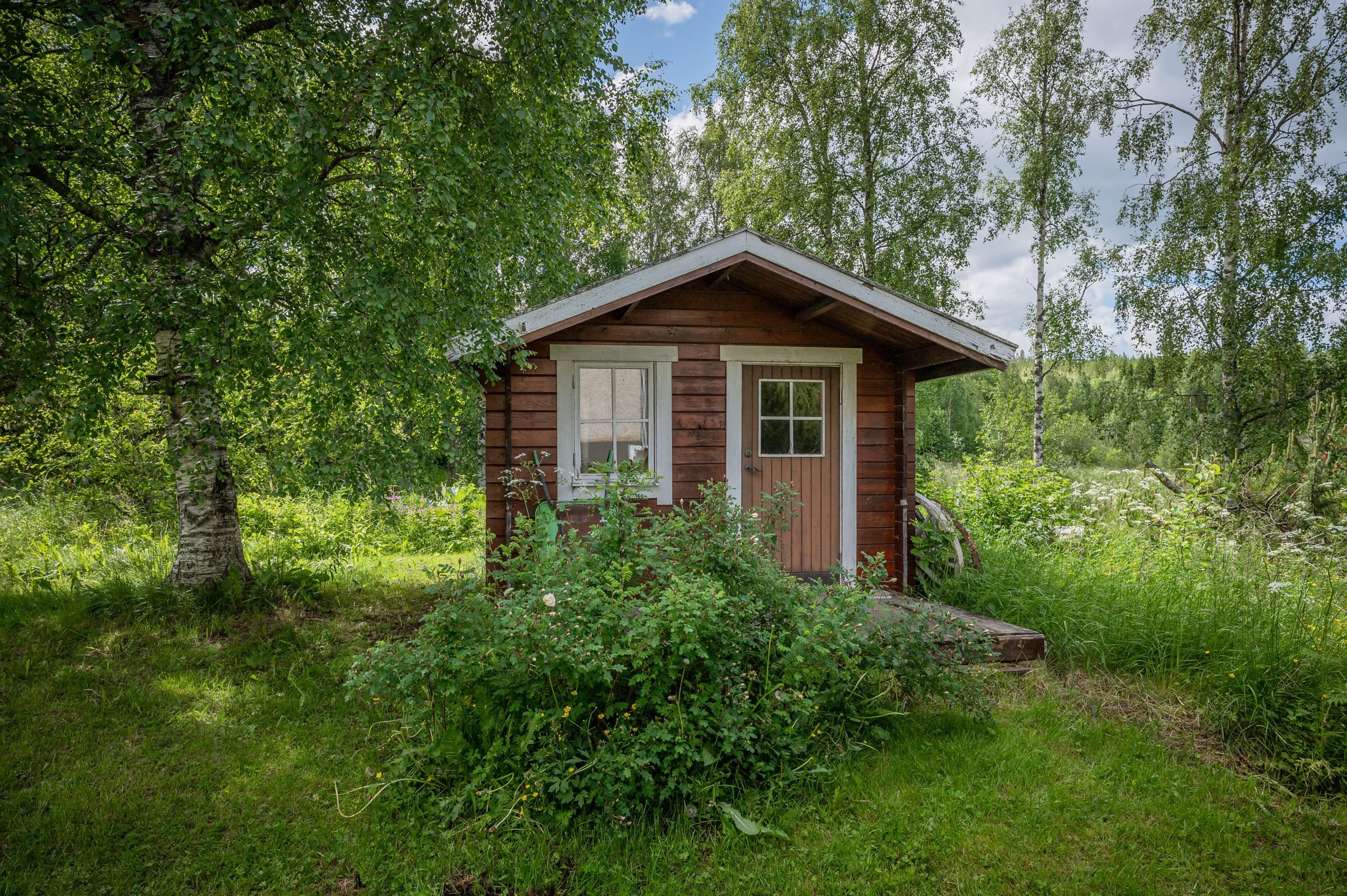 Exteriör