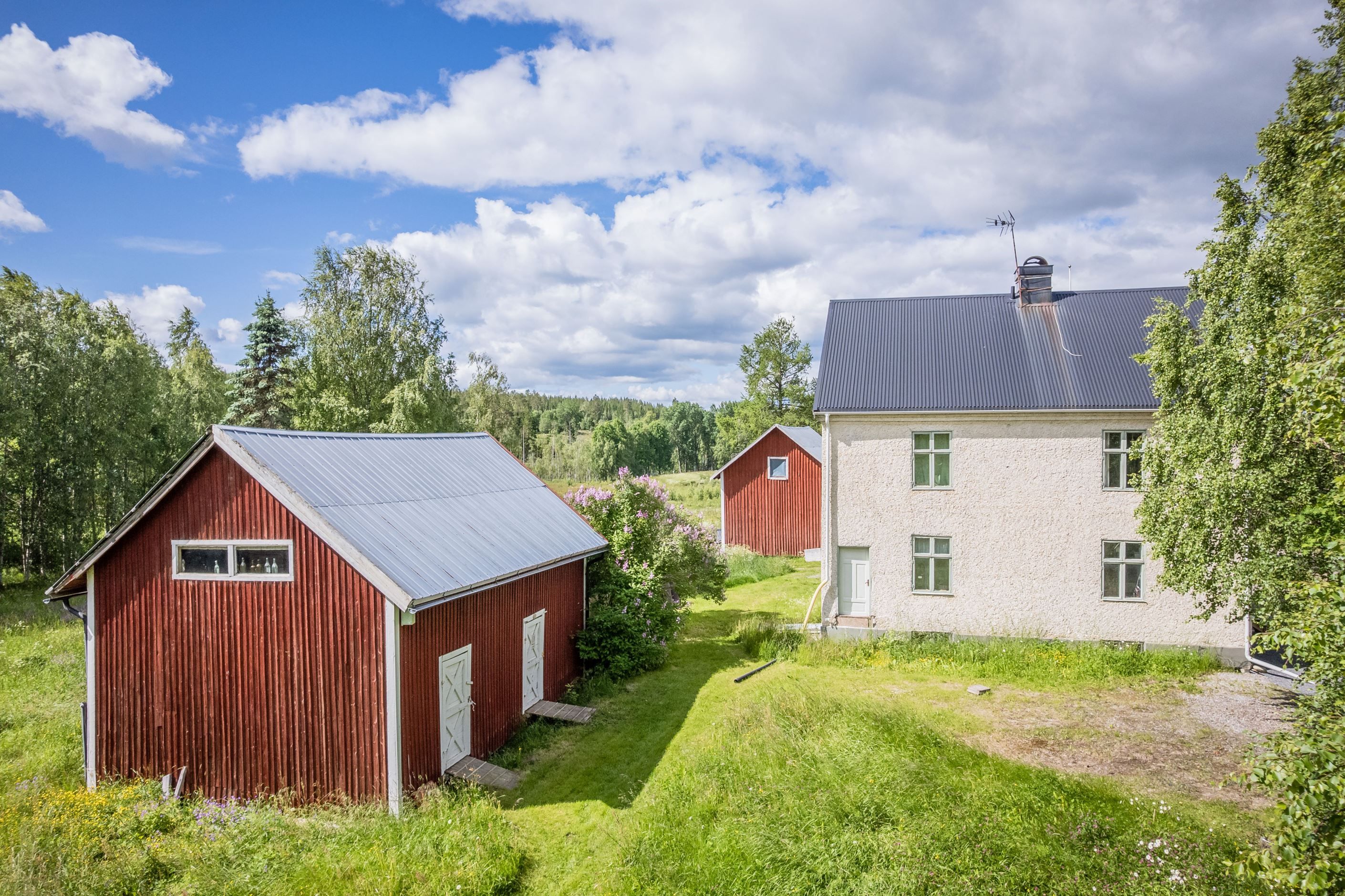 Exteriör