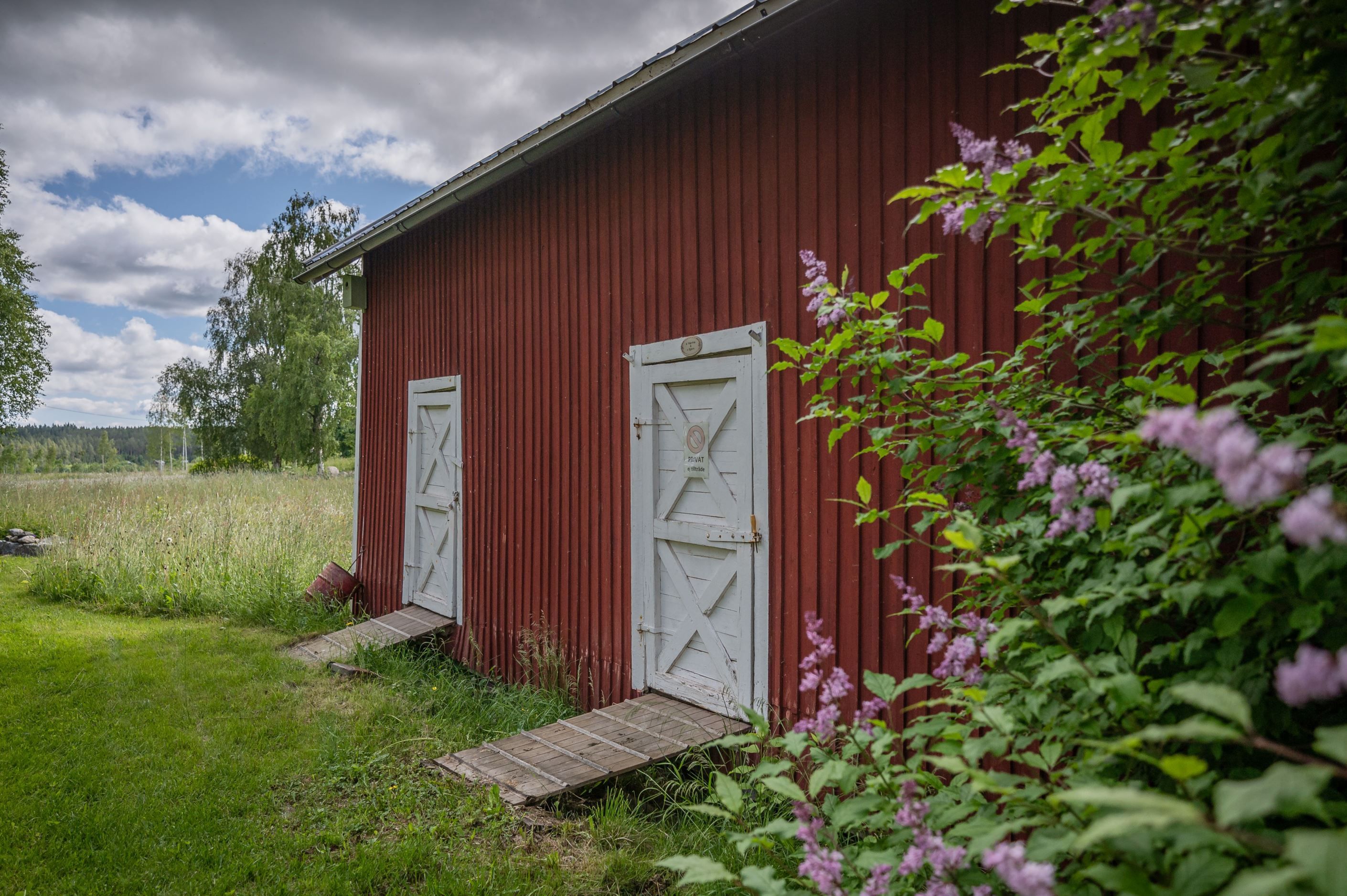 Exteriör