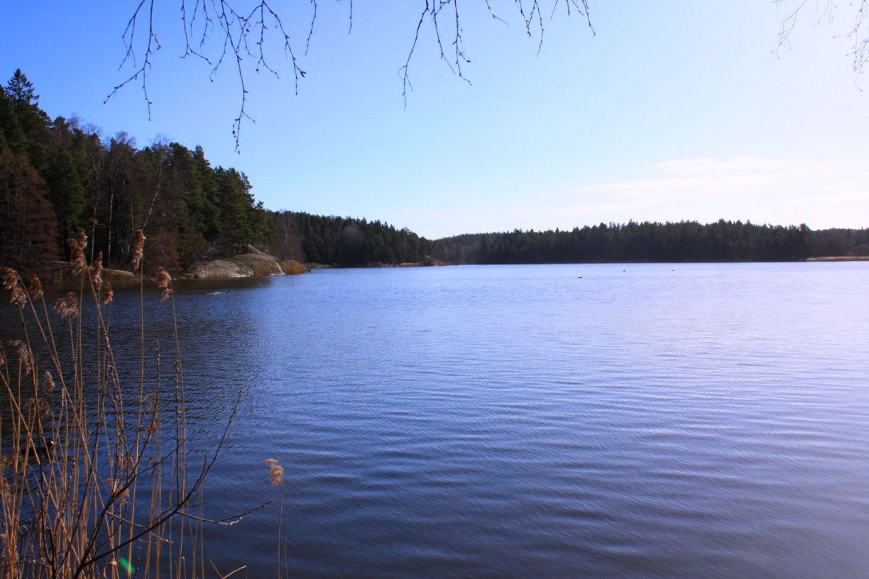 Sjön Trehörningen