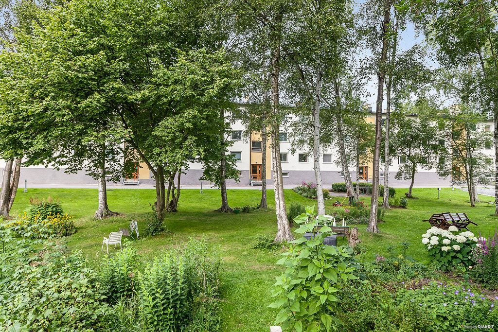 Föreningens trivsamma och grönskande gård