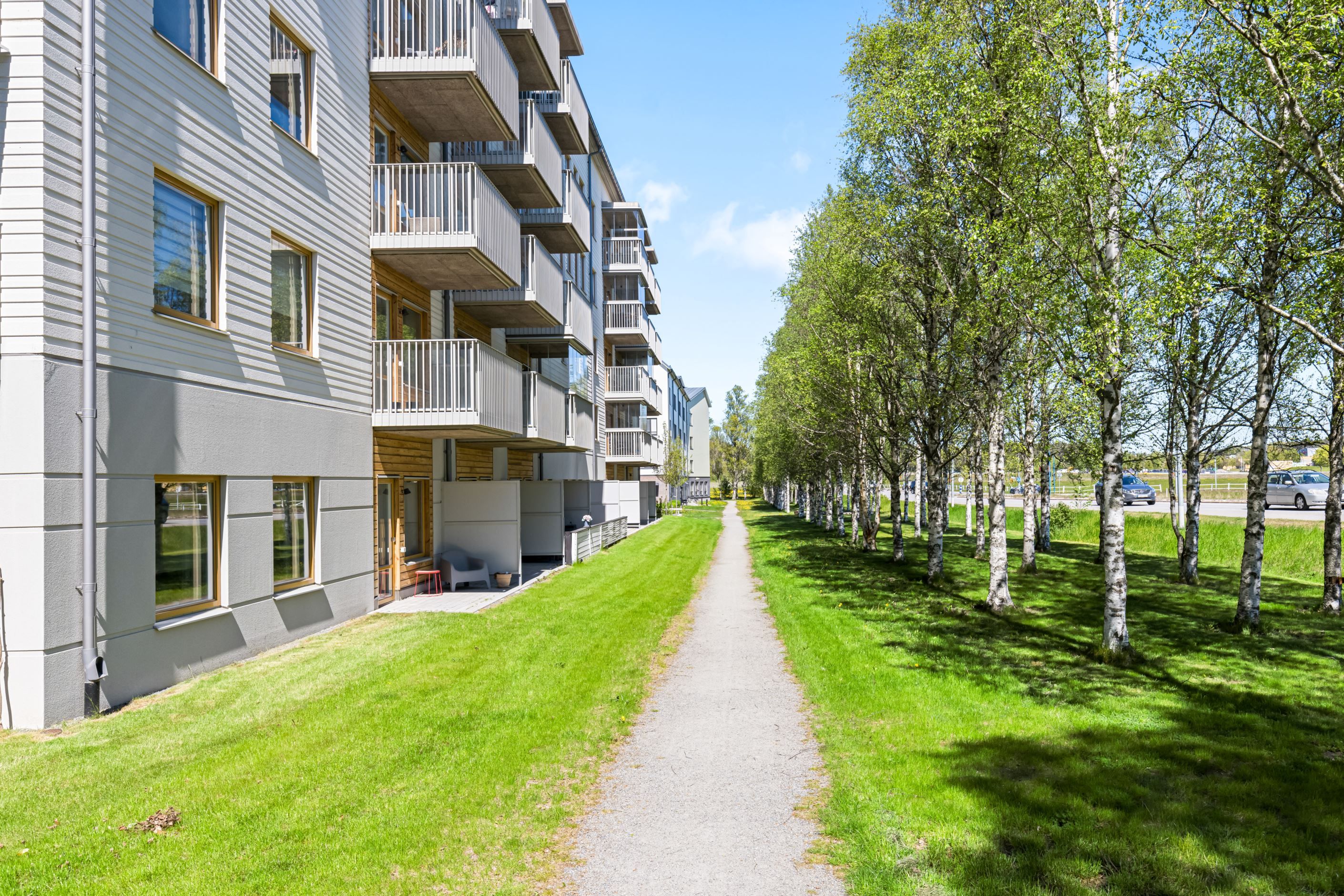Exteriör