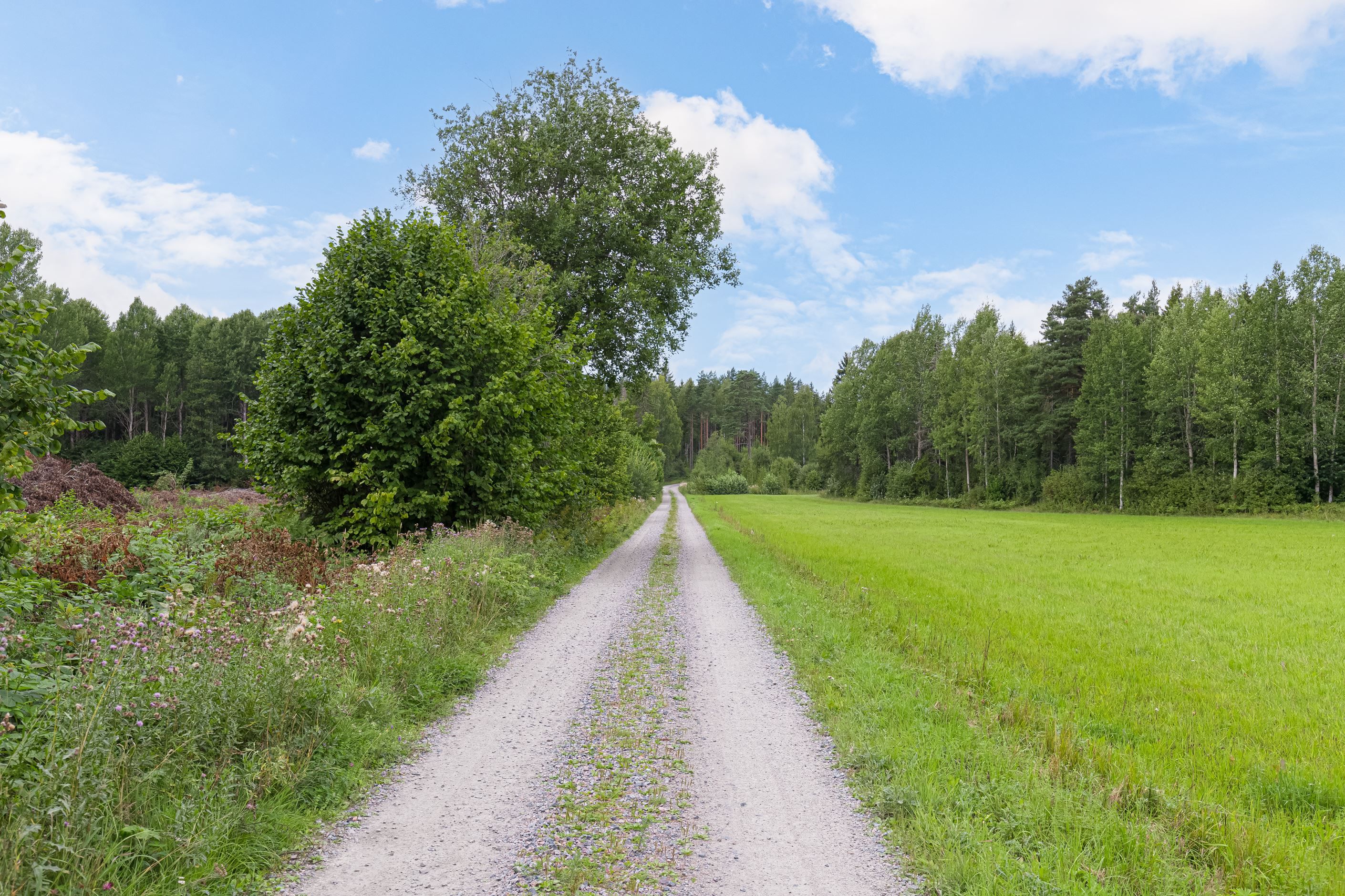 Infartsvägen