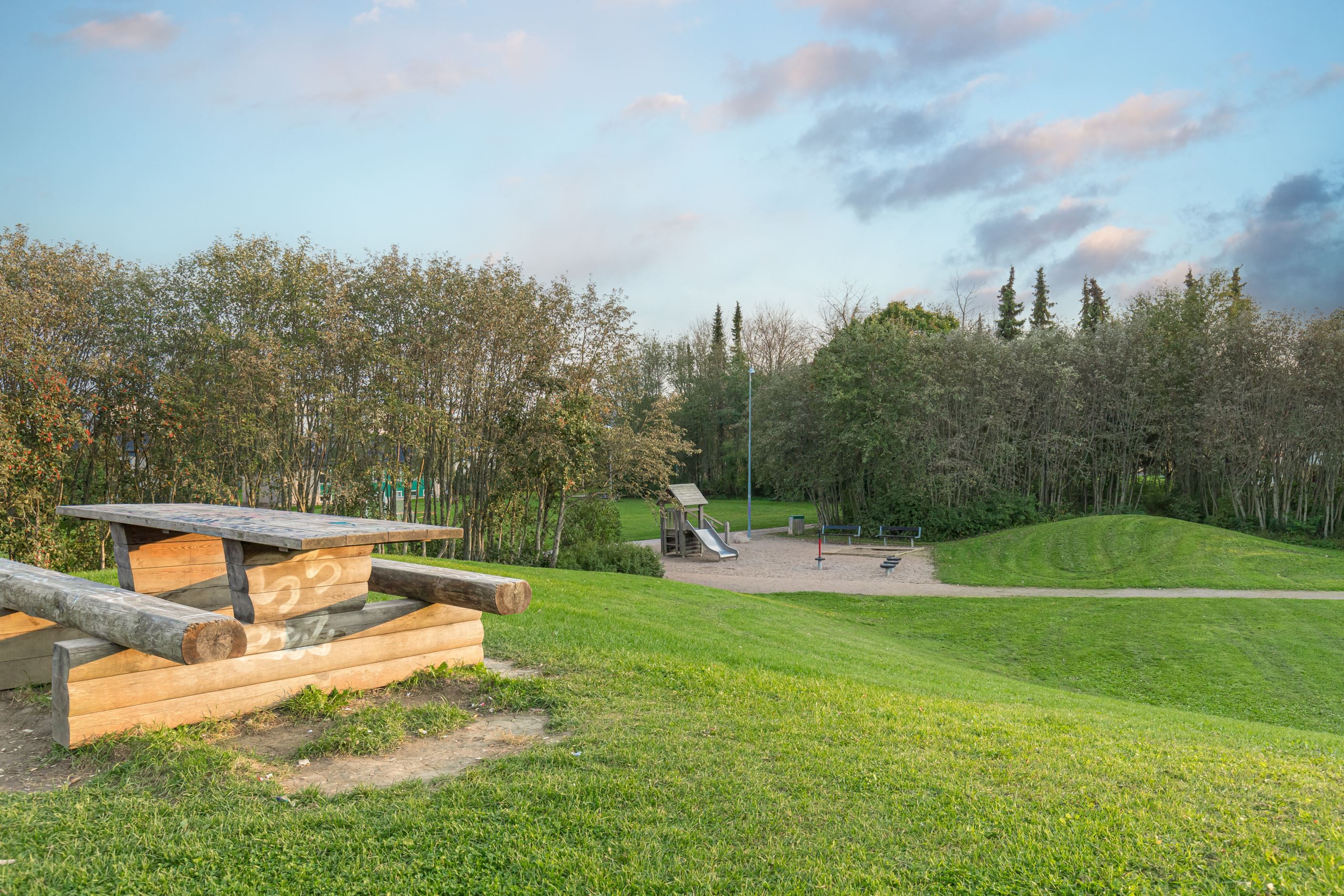 Kapellgärdets skatepark 7