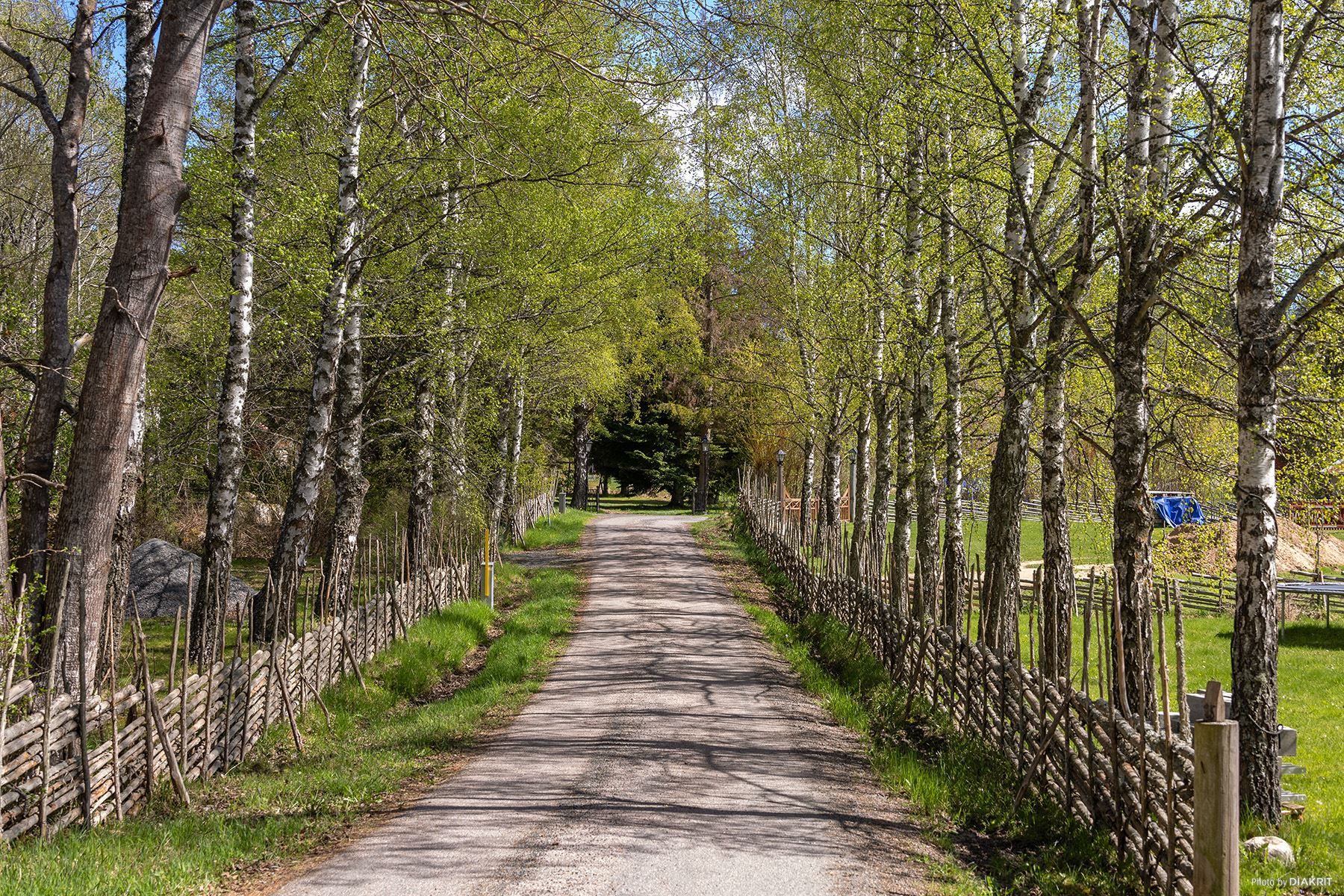 Vägen utmed tomten