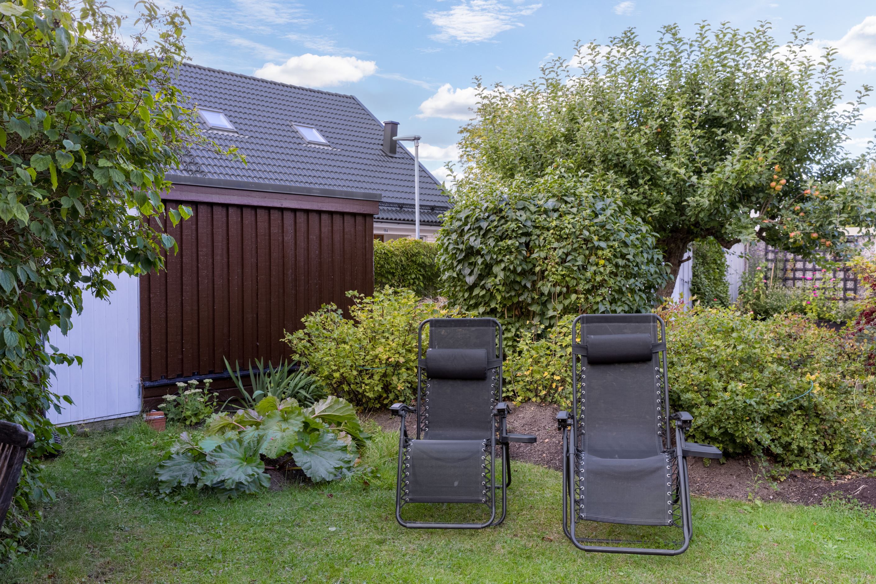 Trädgård