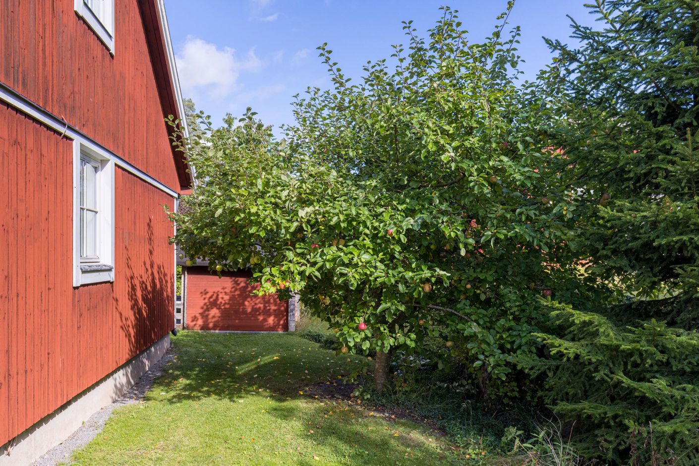 Exteriör