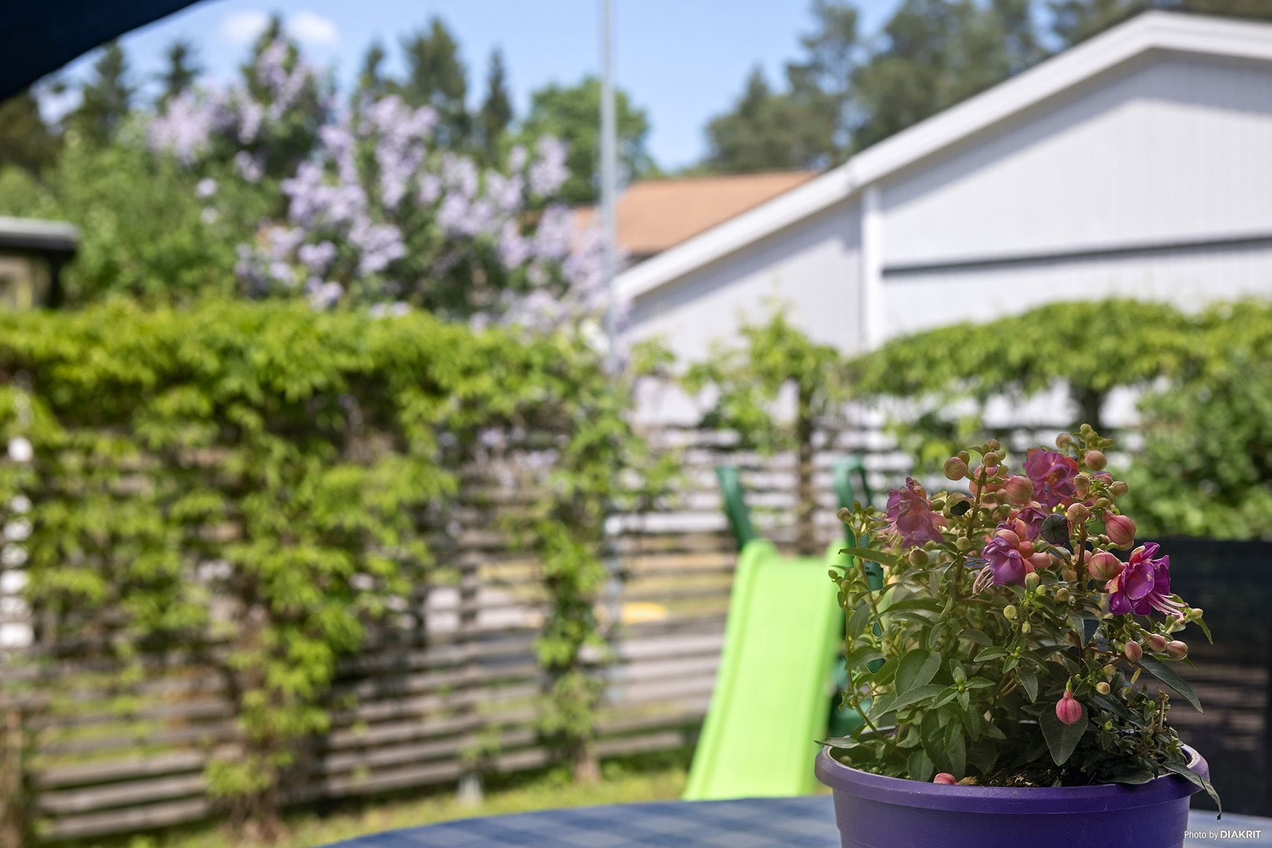 Uteplats/altan baksida