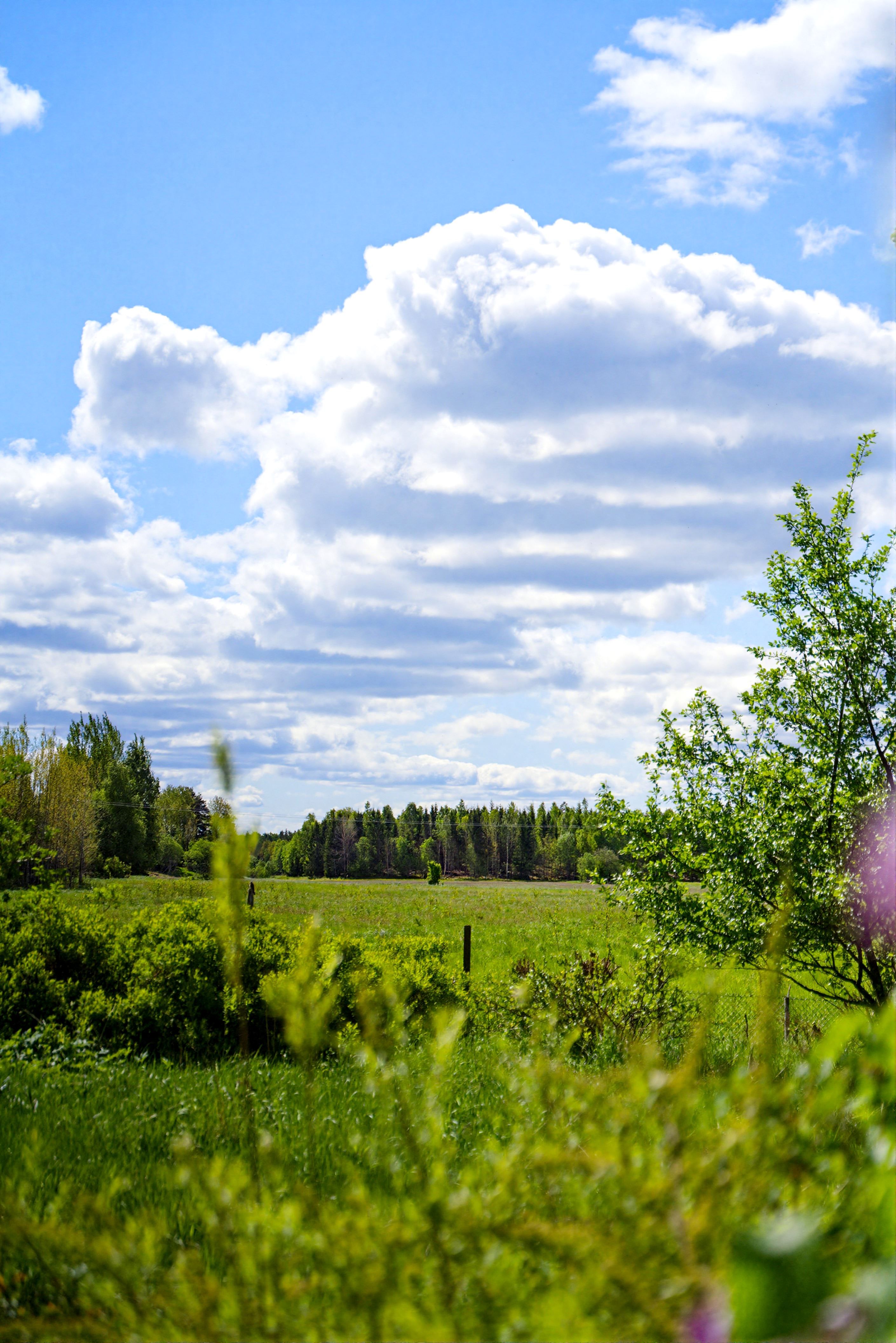 Utsikt över ängarna från "uterummet"