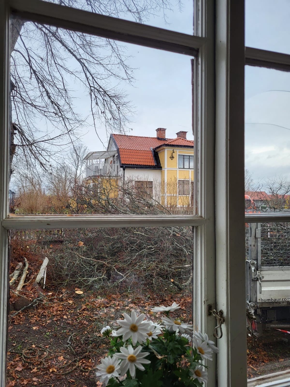 Kök