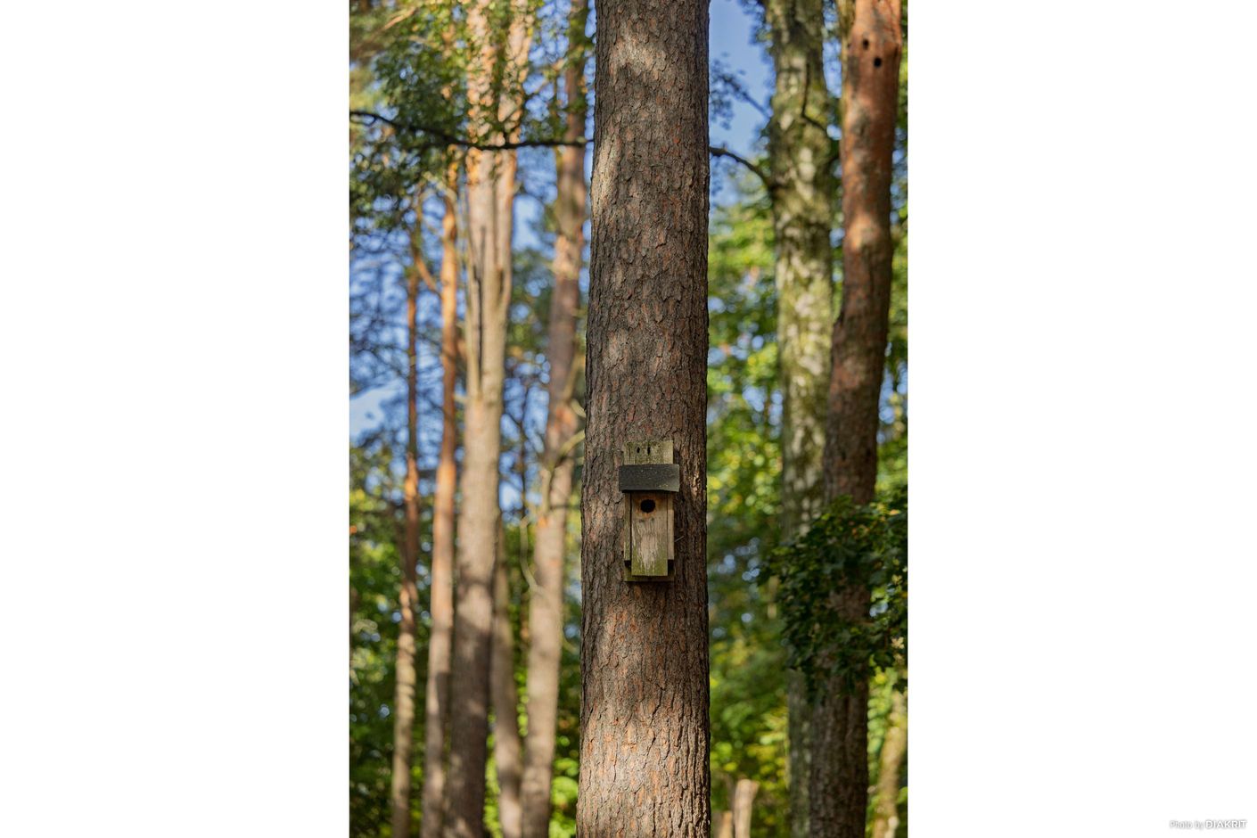 Områdesbild